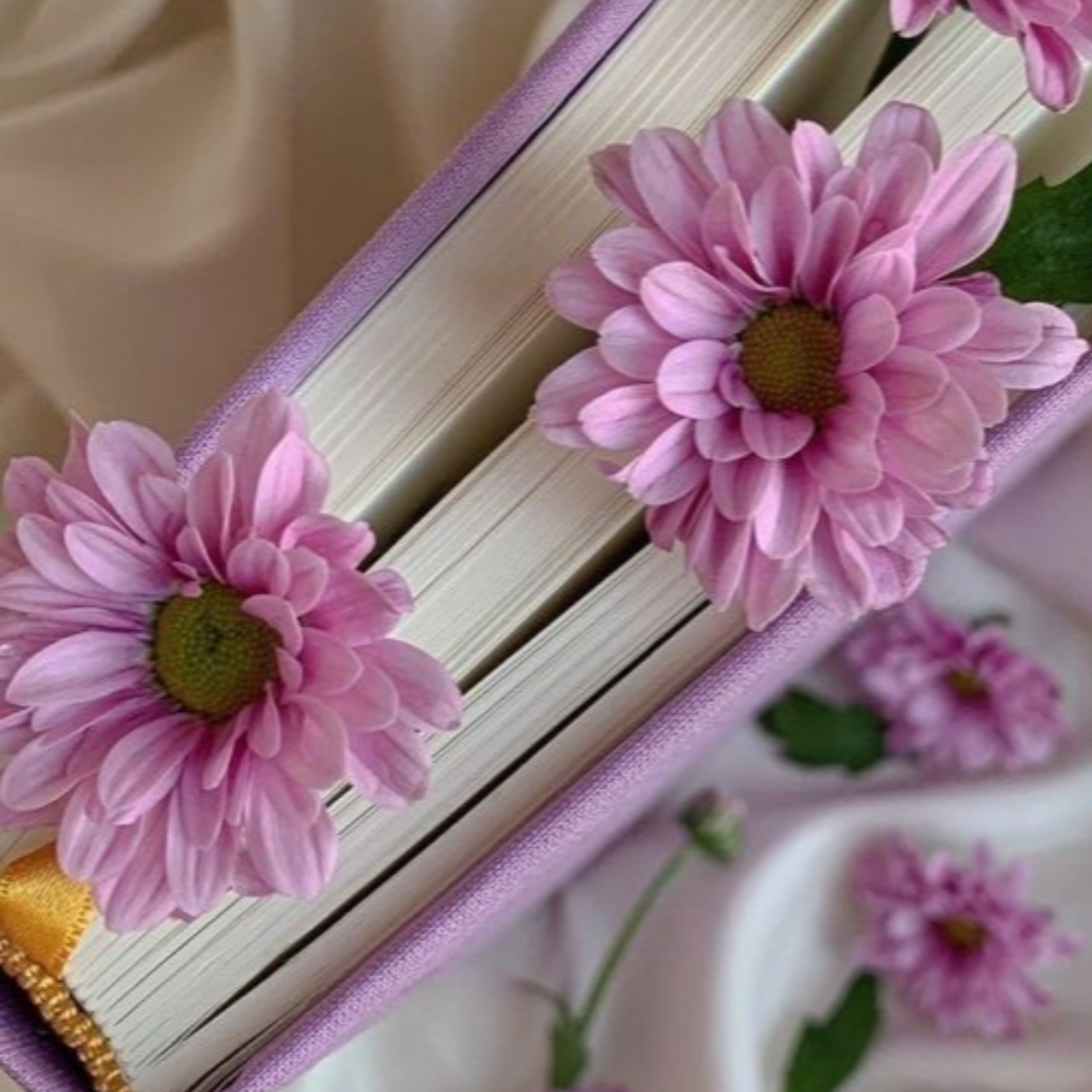کاور ۱۷ پیام در جواب یه وویس