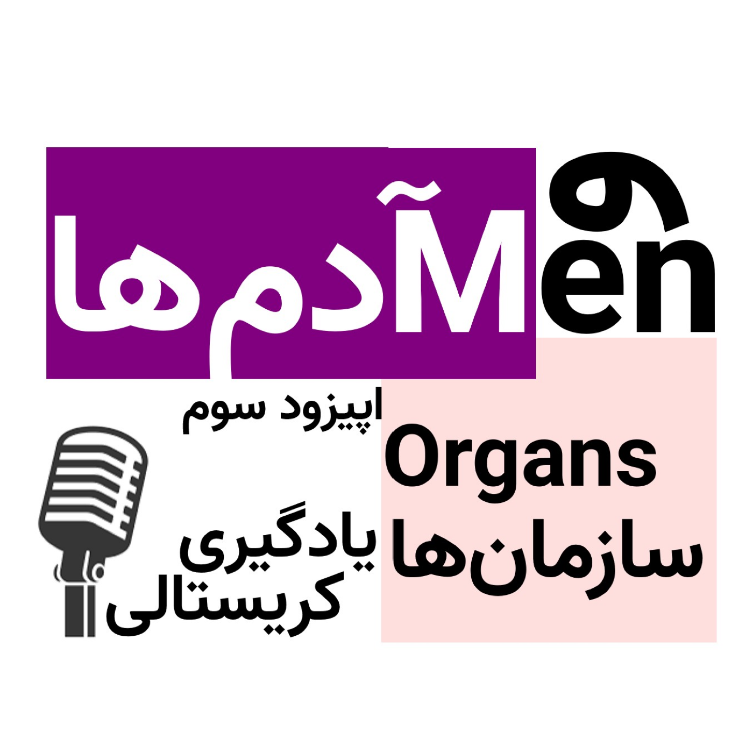 کاور اپیزود سوم: یادگیری کریستالی