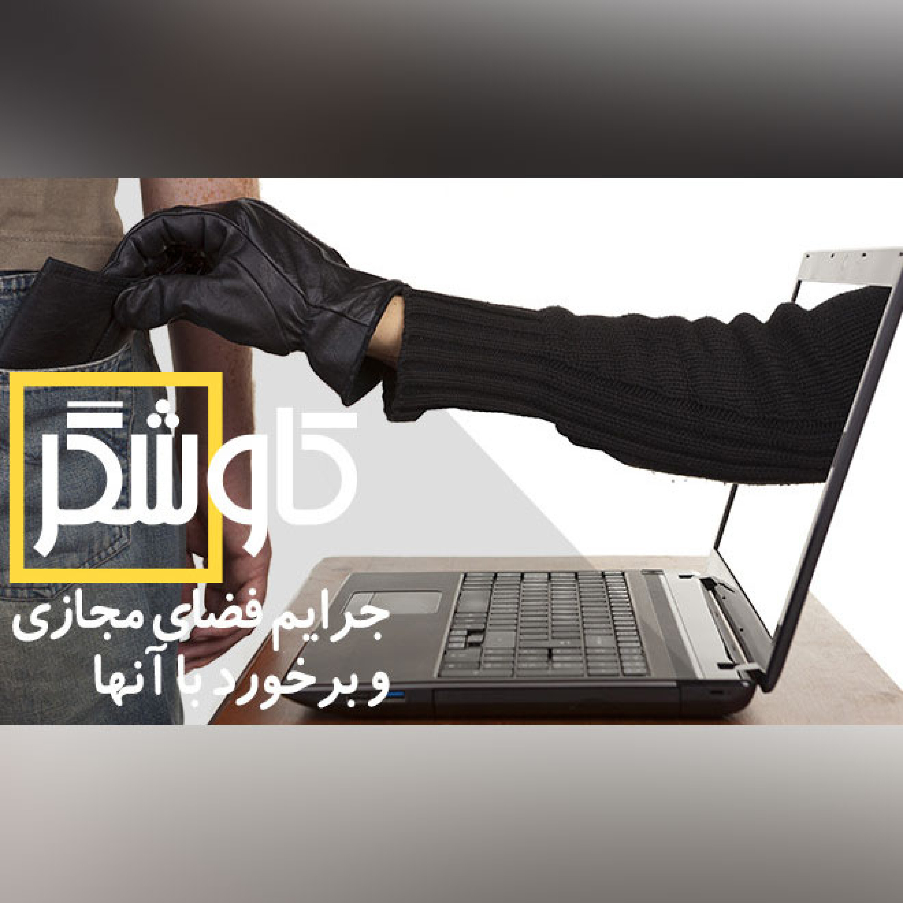 جرایم فضای مجازی و برخورد با آنها