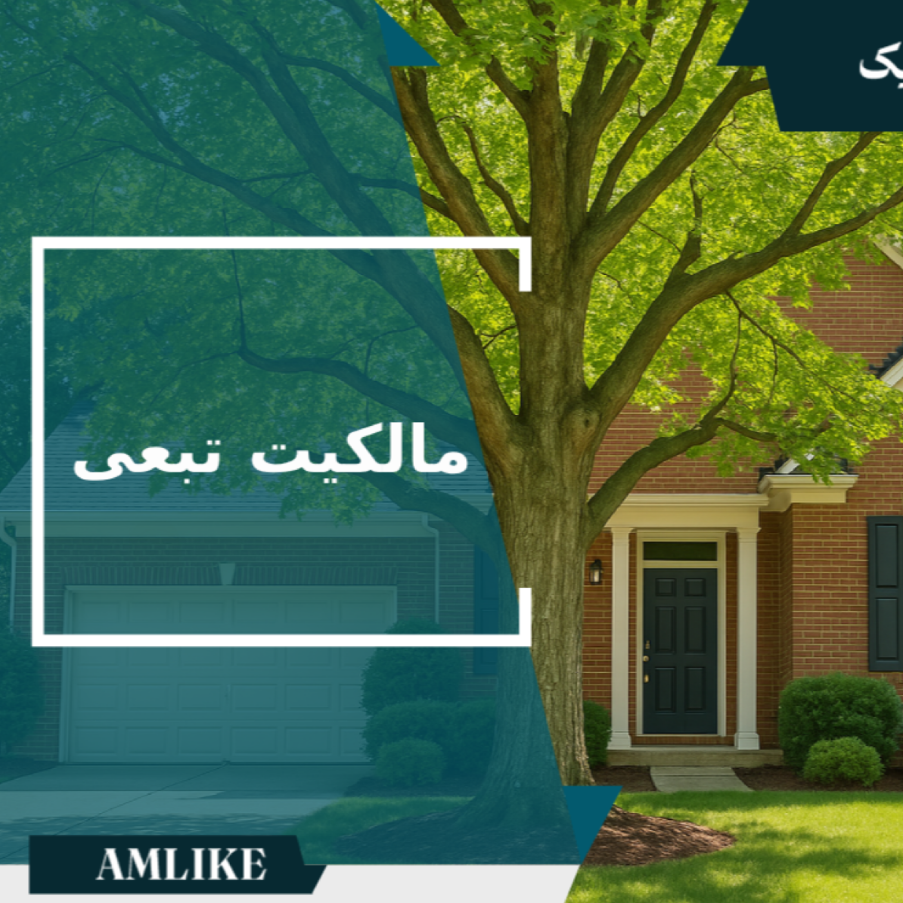کاور مالکیت تبعی