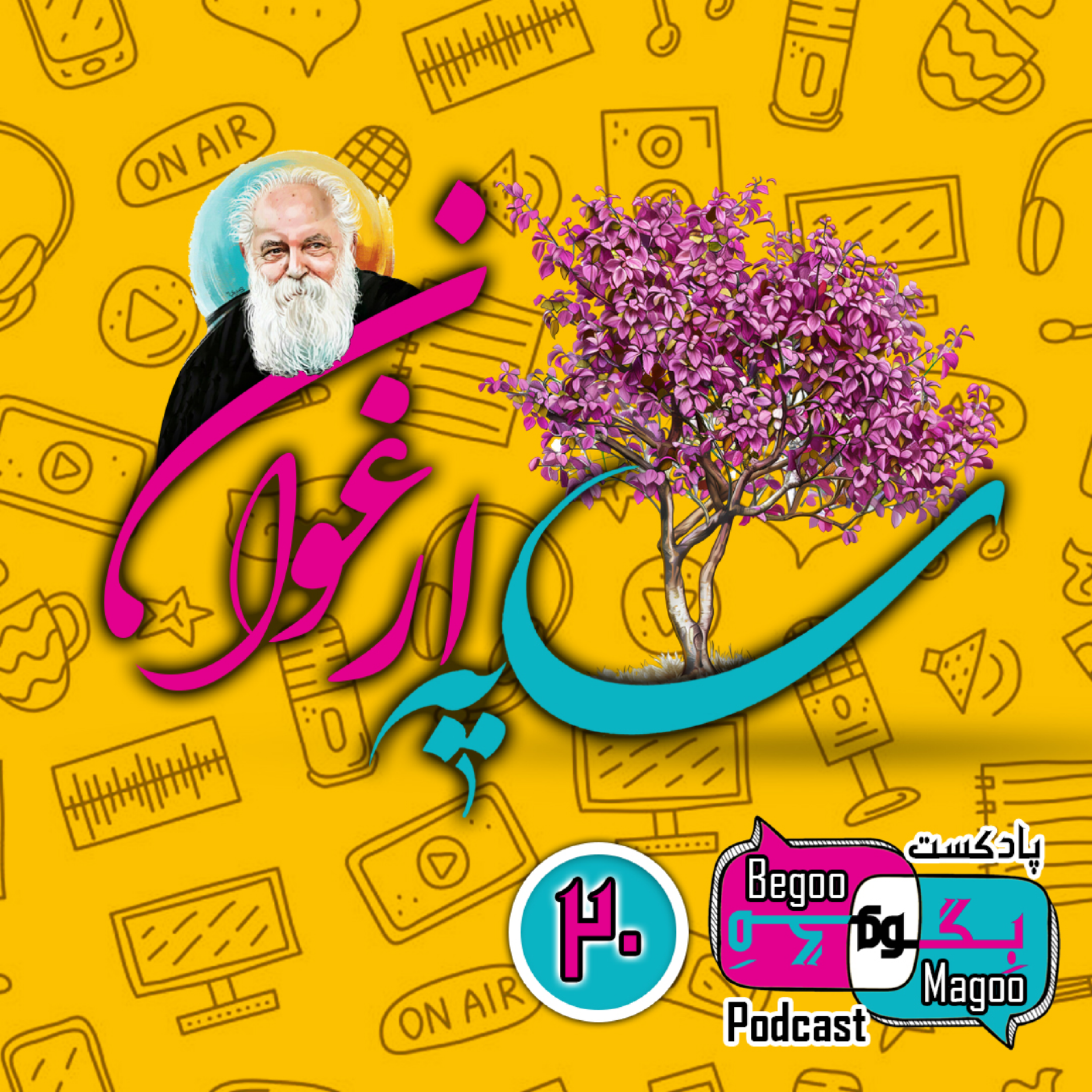 سایه‌ی ارغوان
