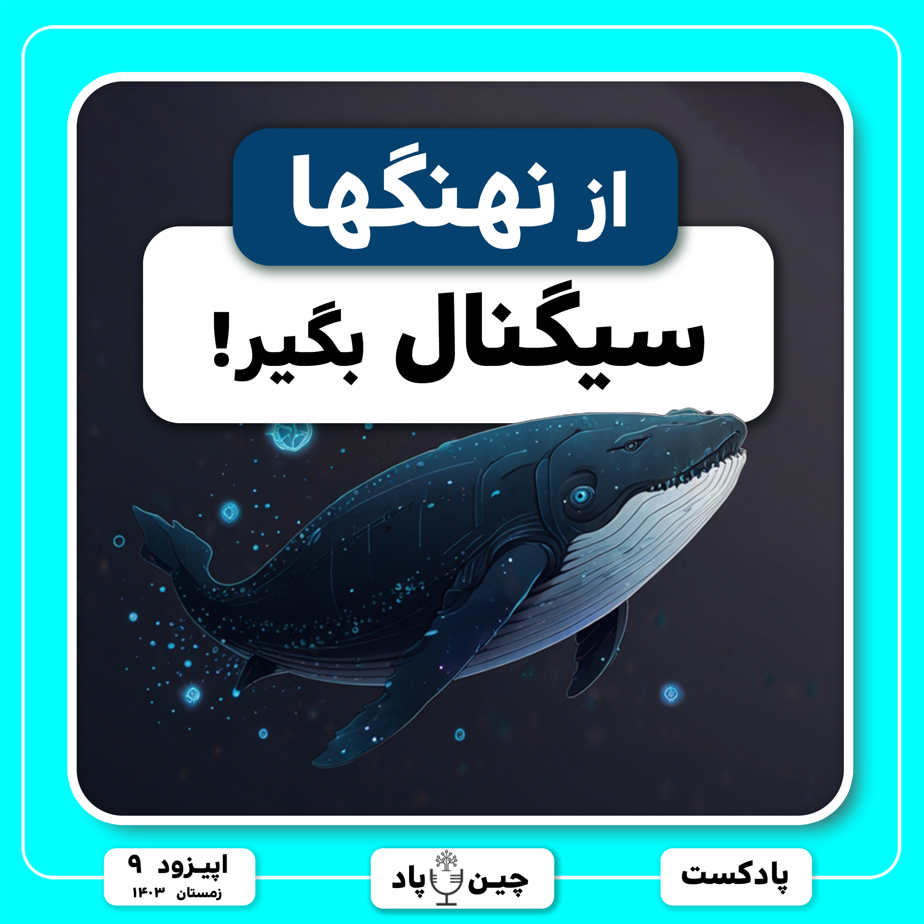 با این‌ سایت از نهنگها سیگنال بگیر episode artwork