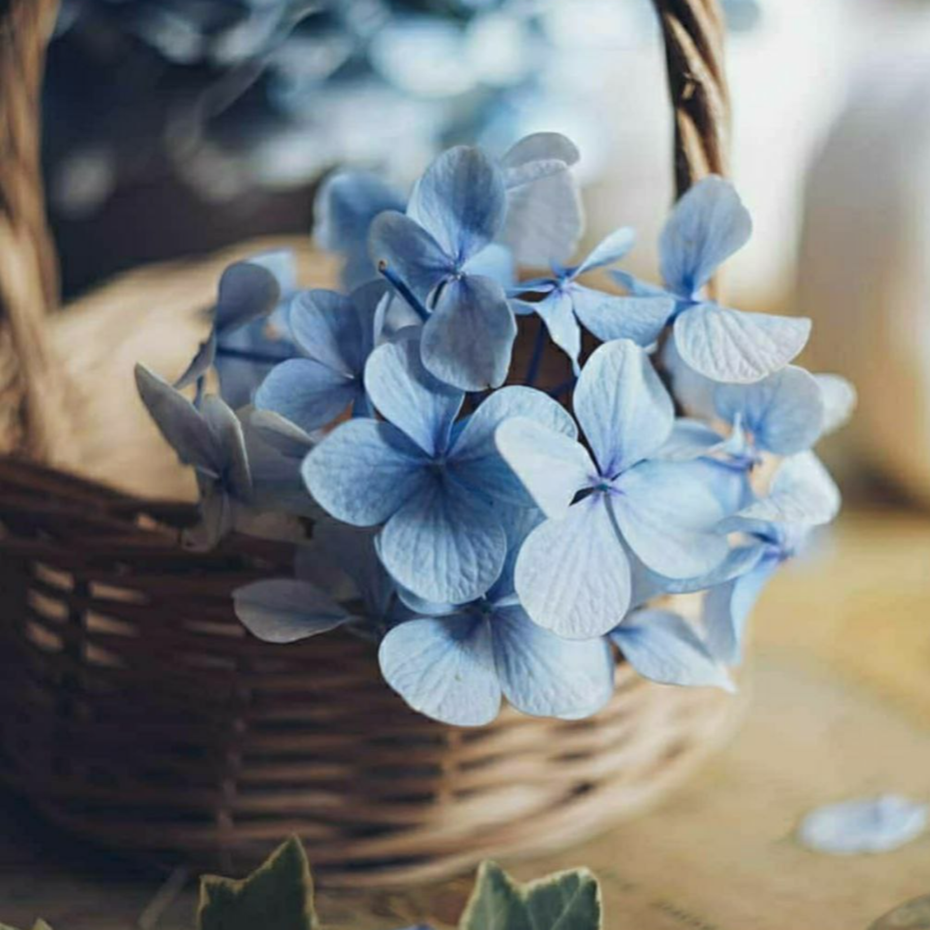 کاور نفسی برای ماندن