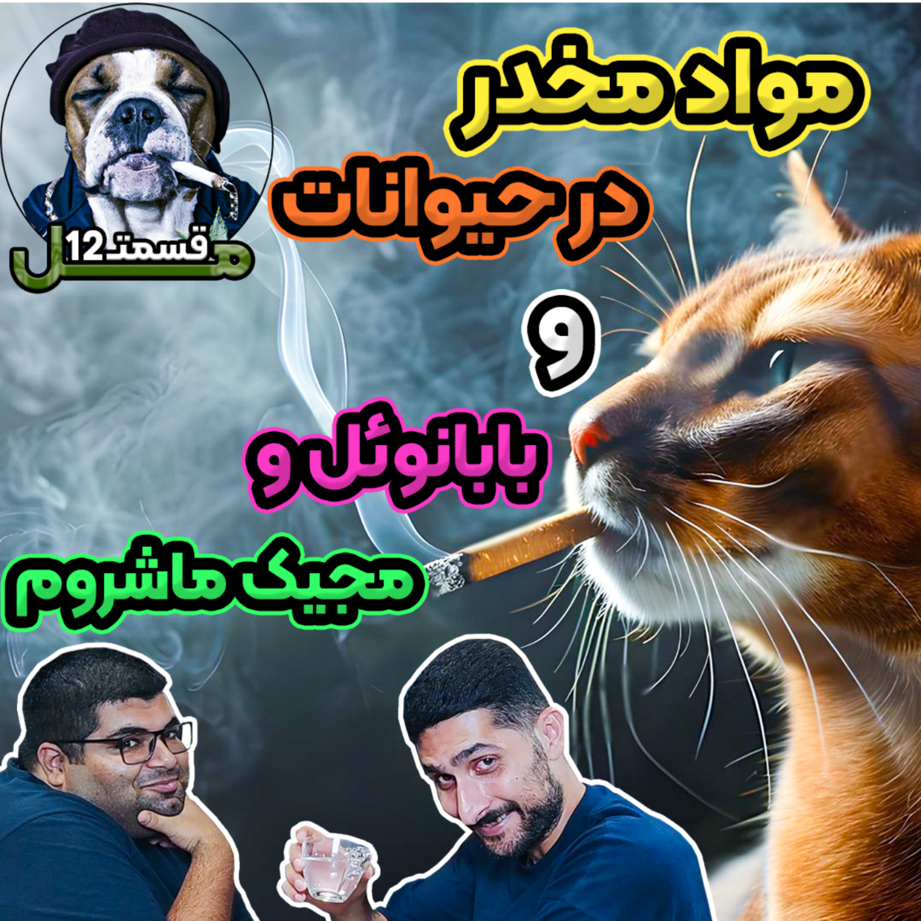 کاور Mal Ep12 | موادر مخدر در حیوانات ، بابانوئل و مجید ماشروم