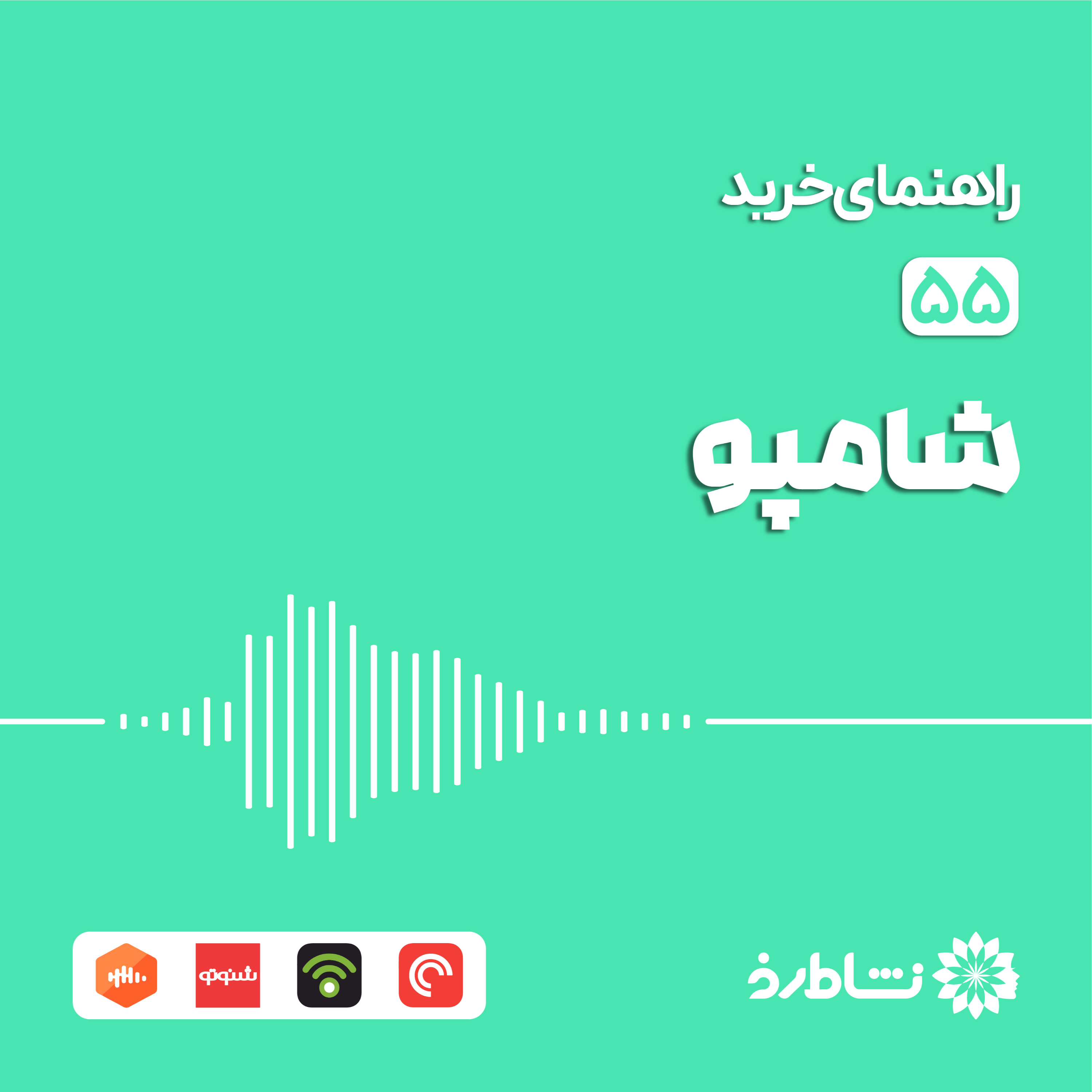 راهنمای خرید شامپو