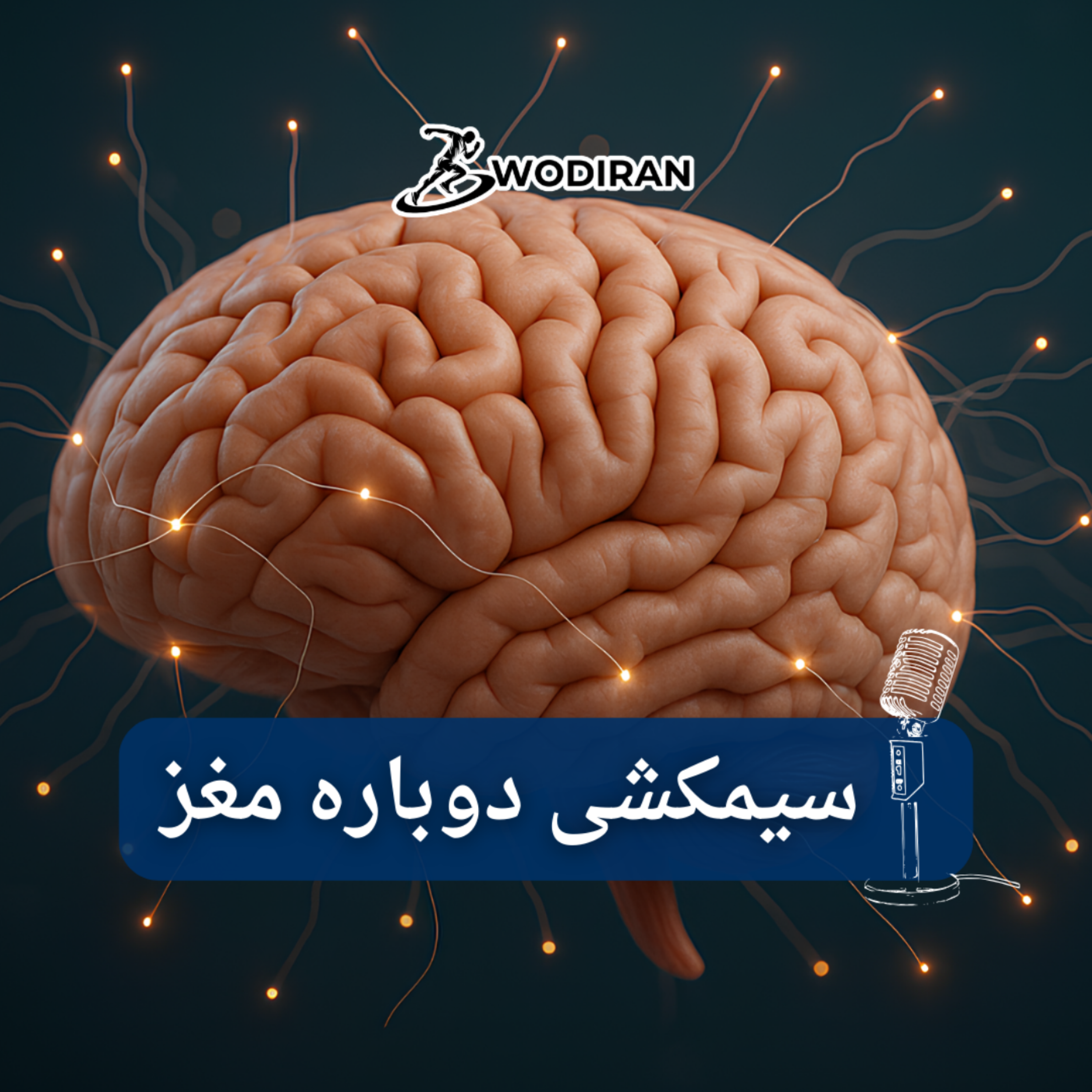 کاور سیمکشی دوباره مغز
