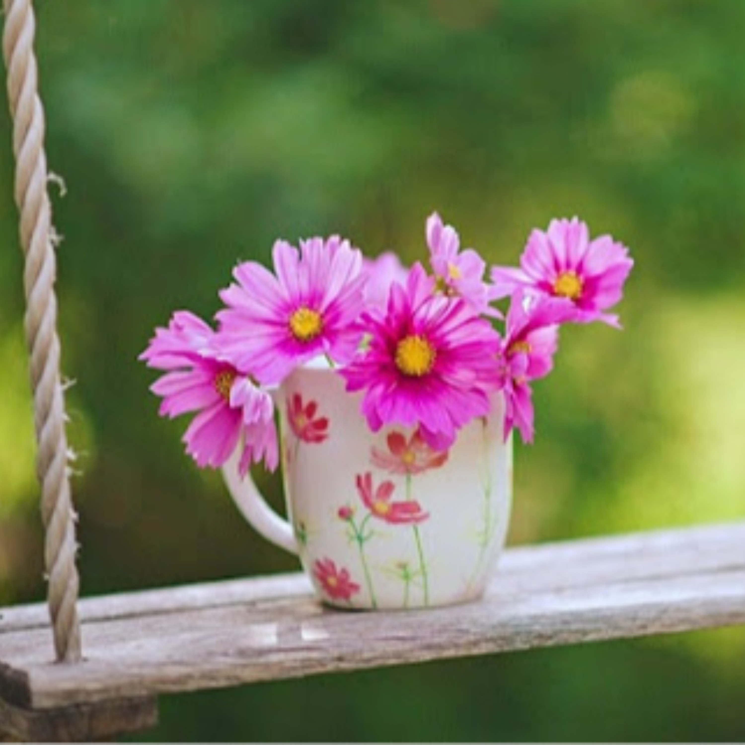 کاور بازی زندگی