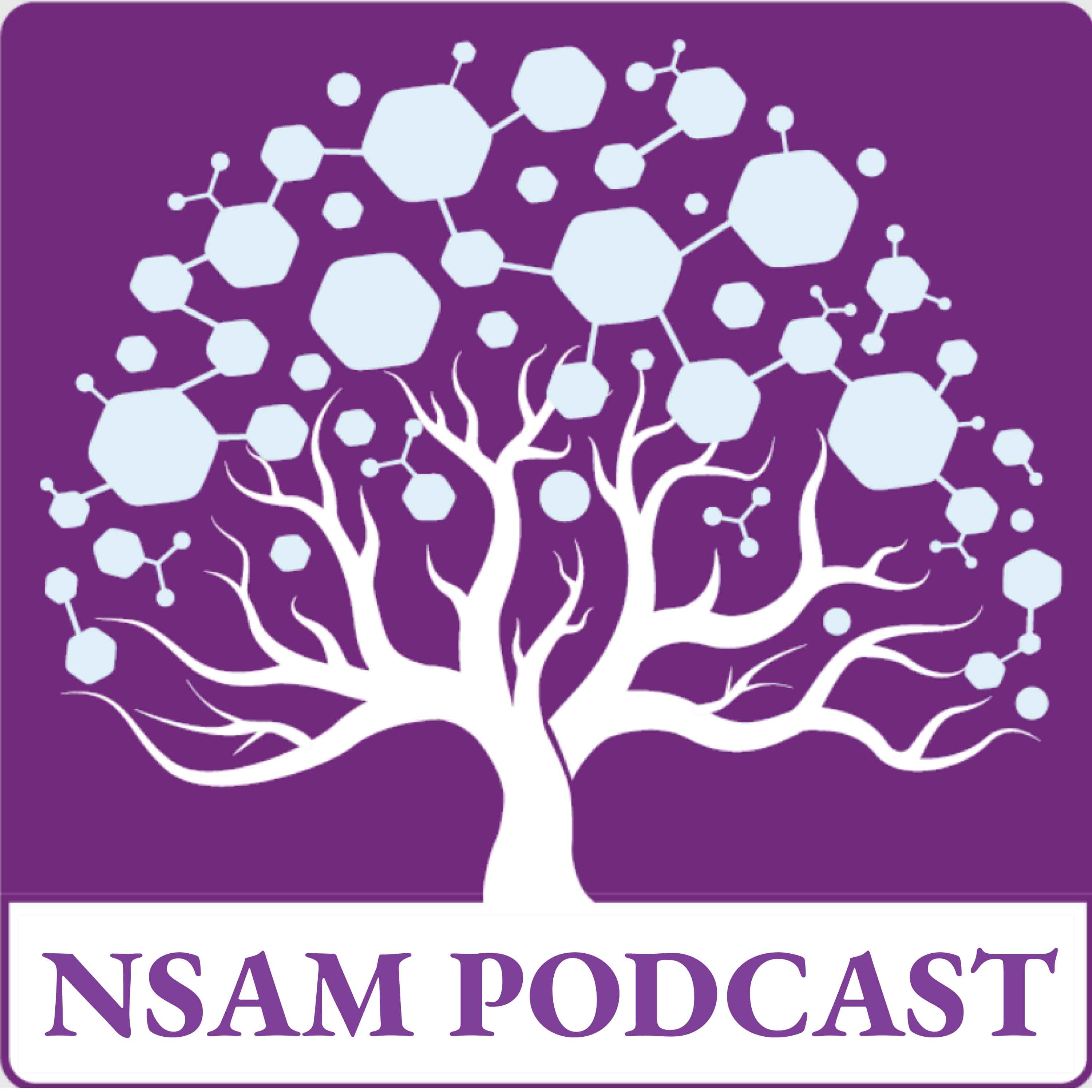 کاور Volume 1, Issue 1🎧 Ep. 5. Fabrication of Electrospun Nanofibrous Nanocomposite Mats