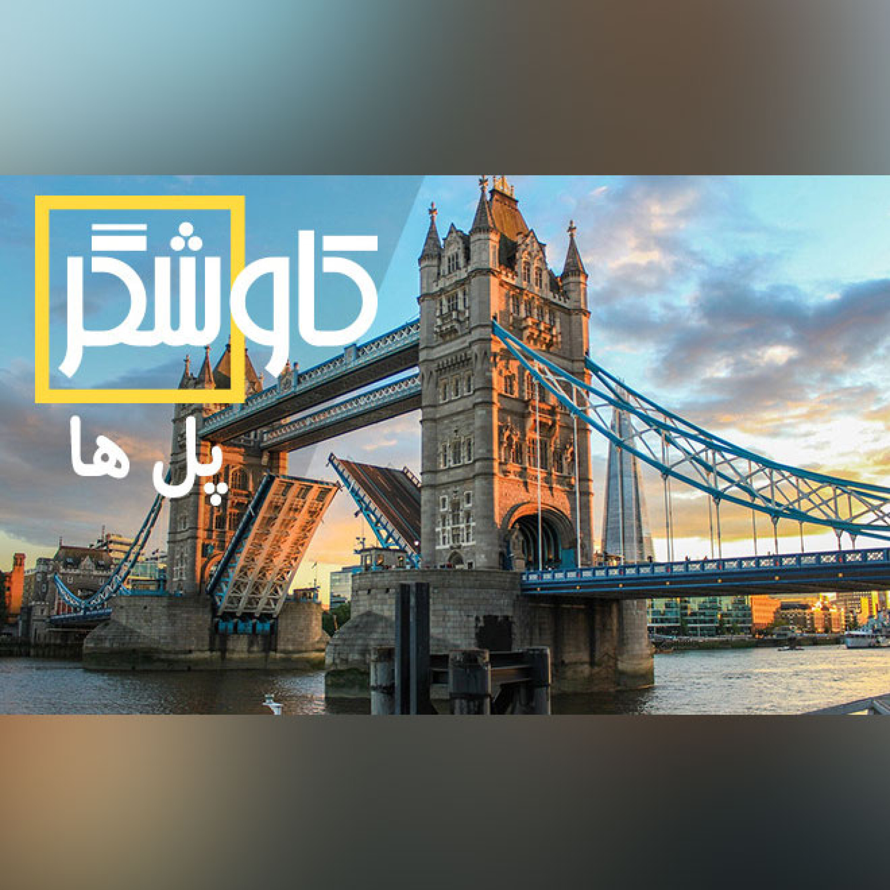 پل ها