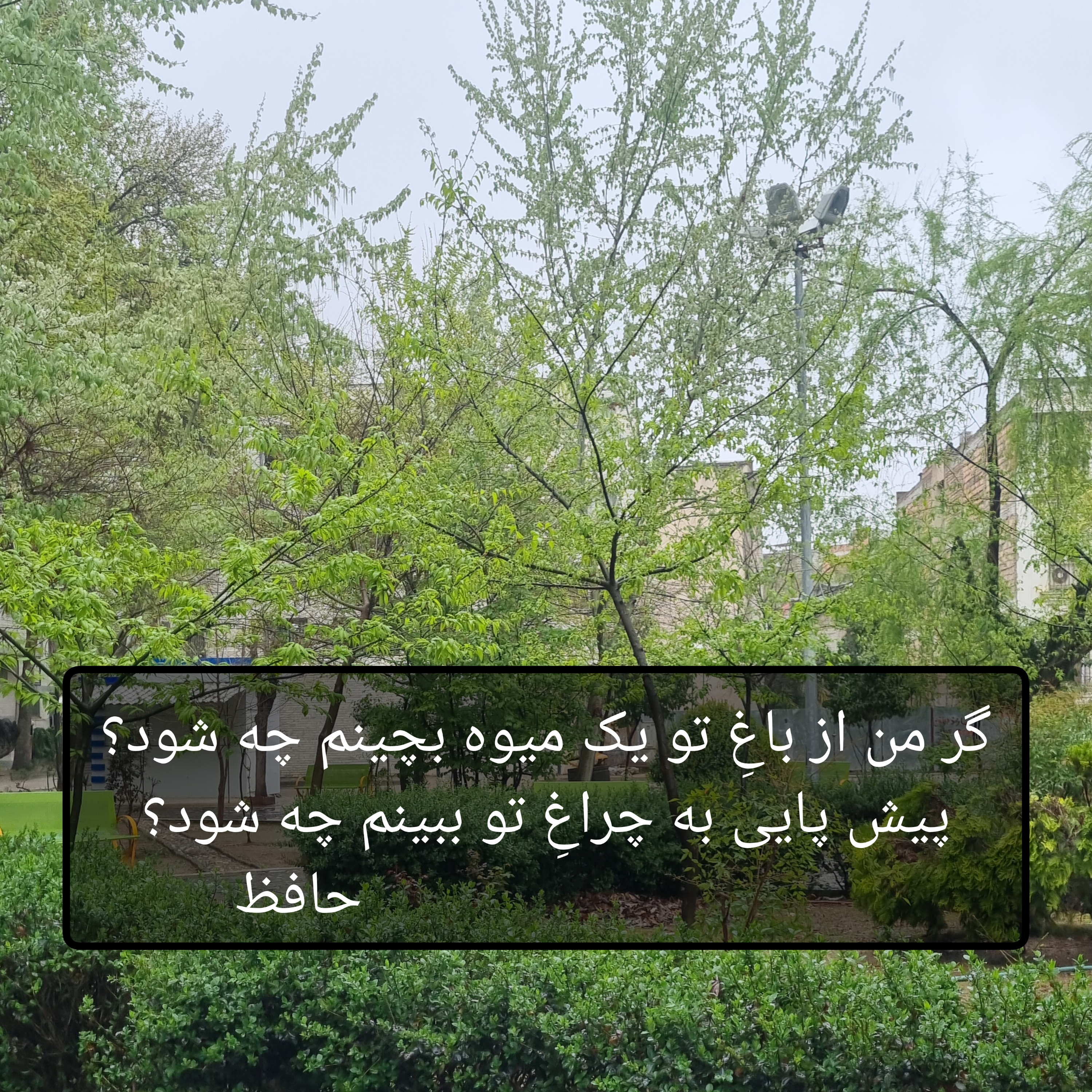 کاور حافظ - دیوان غزلیات - غزل شماره ۲۲۸