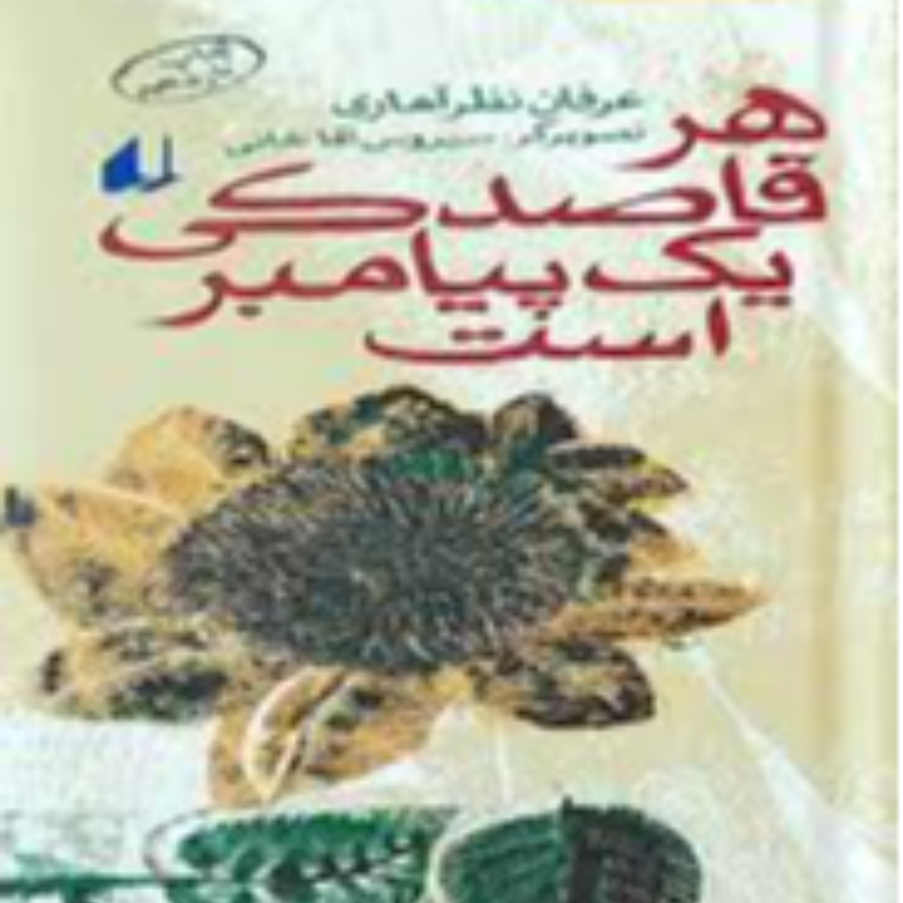 کاور روی ماه و لای ستاره ها