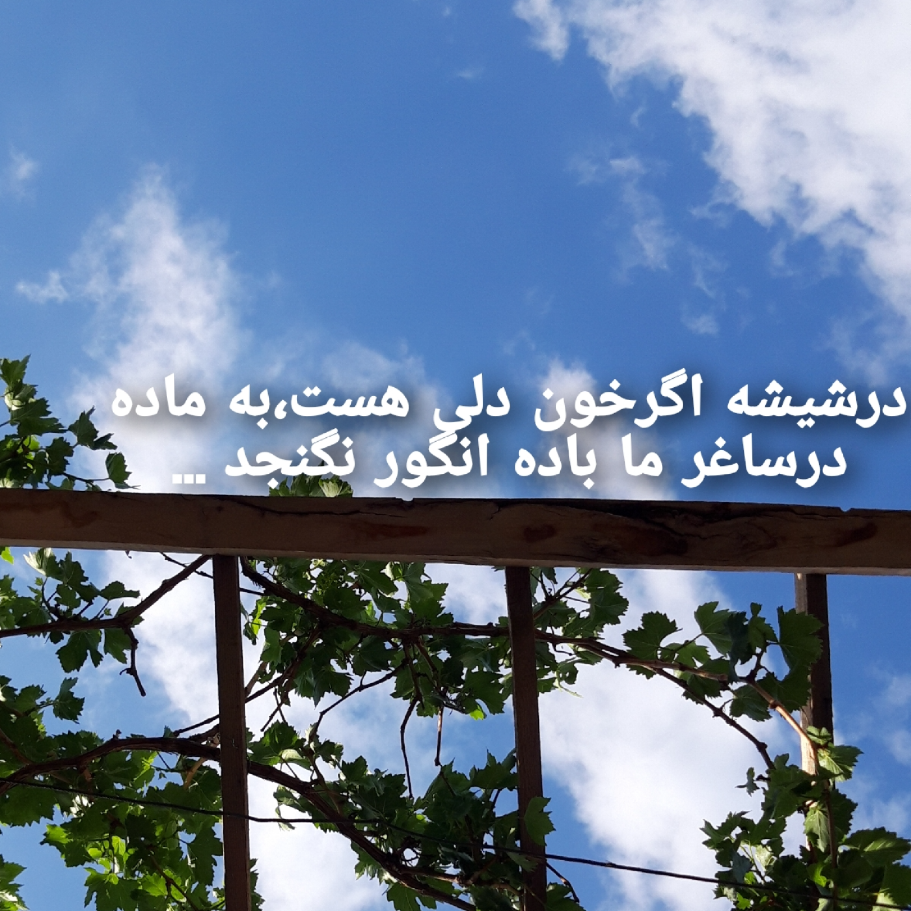 کاور چنین خوب چرایی ...