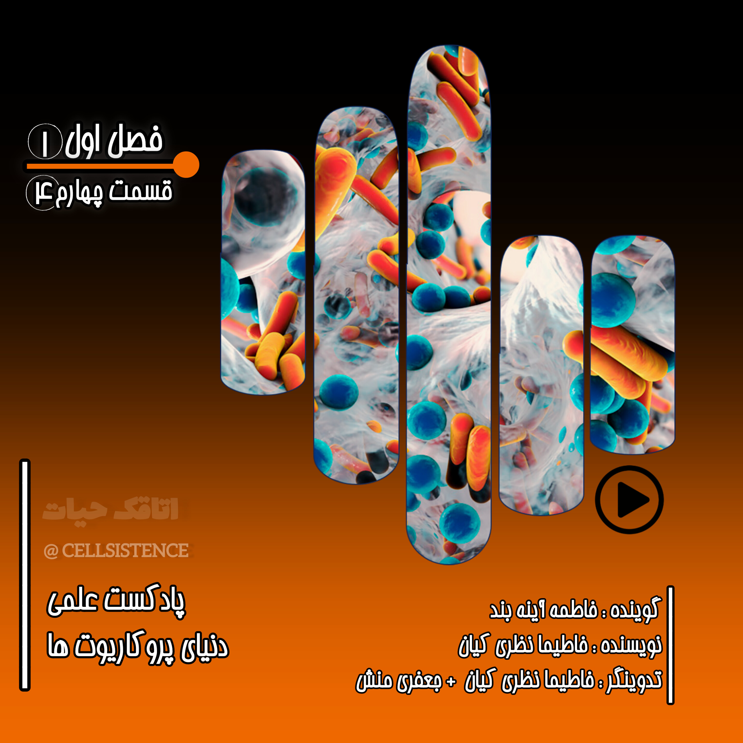 کاور ◾اپیزود چهارم/پایان فصل اول| سازگاری و اکوسیستم پروکاریوت ها◾
