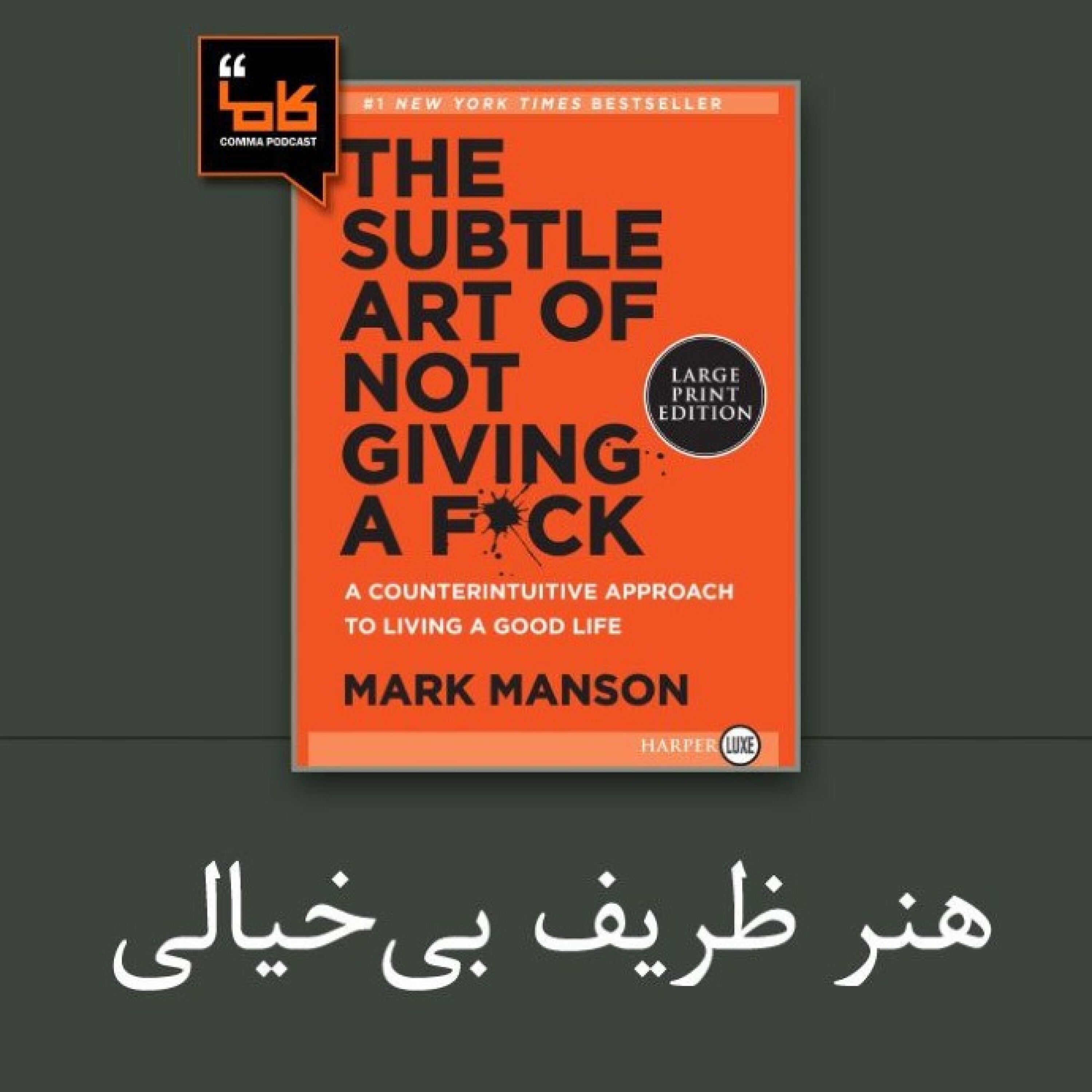 کاور هنر ظریف بی خیالی