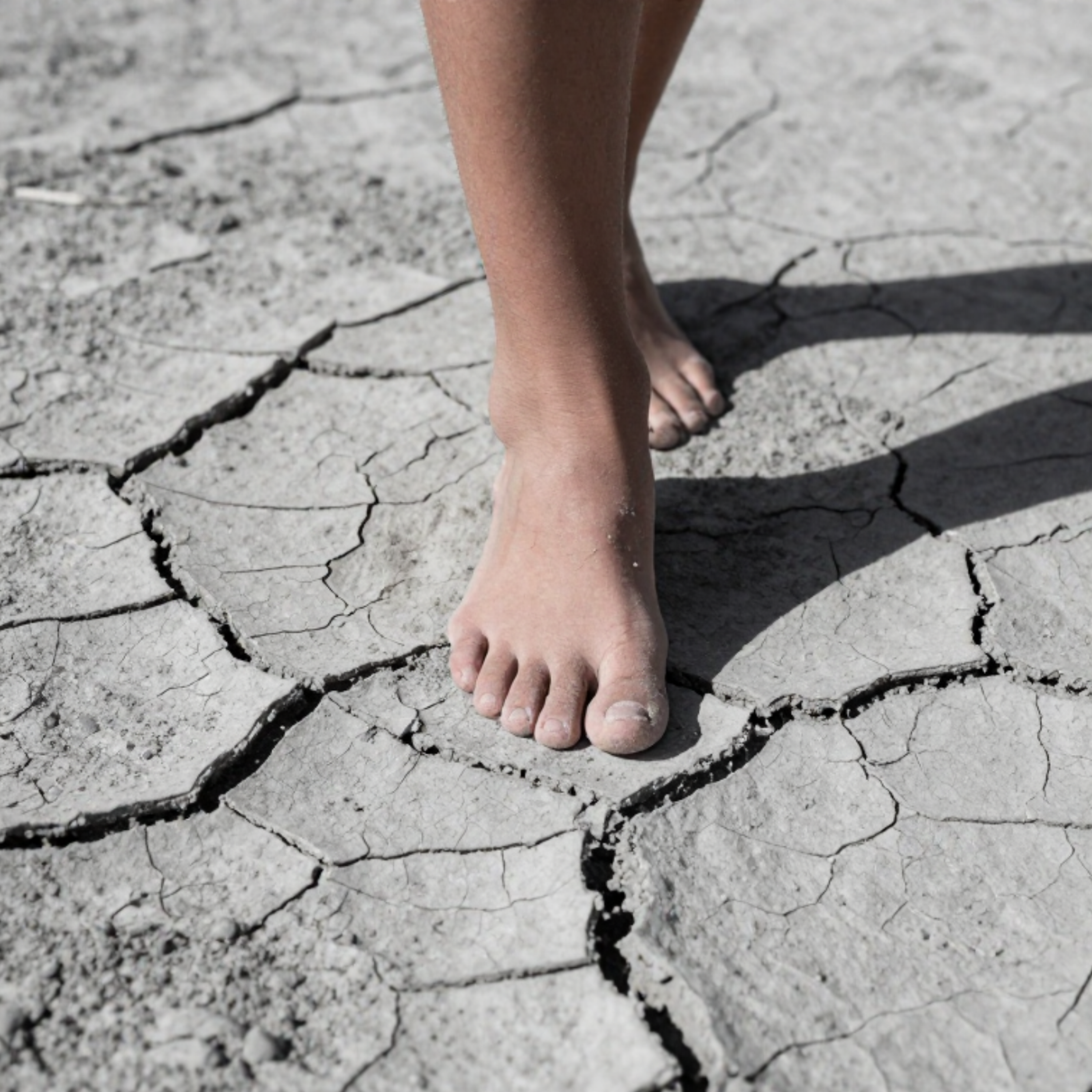 کاور ۲۳۴. زمینِ سفتِ دروغ، زمینِ نرمِ راستی