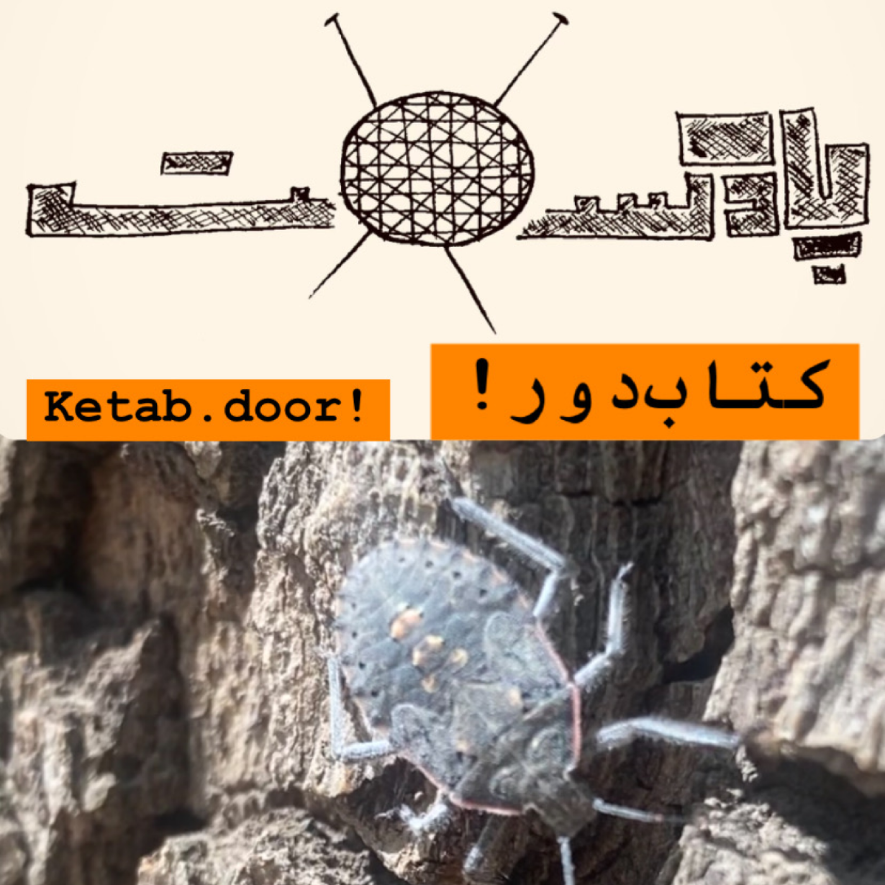 کاور داستان «کتاب دور»