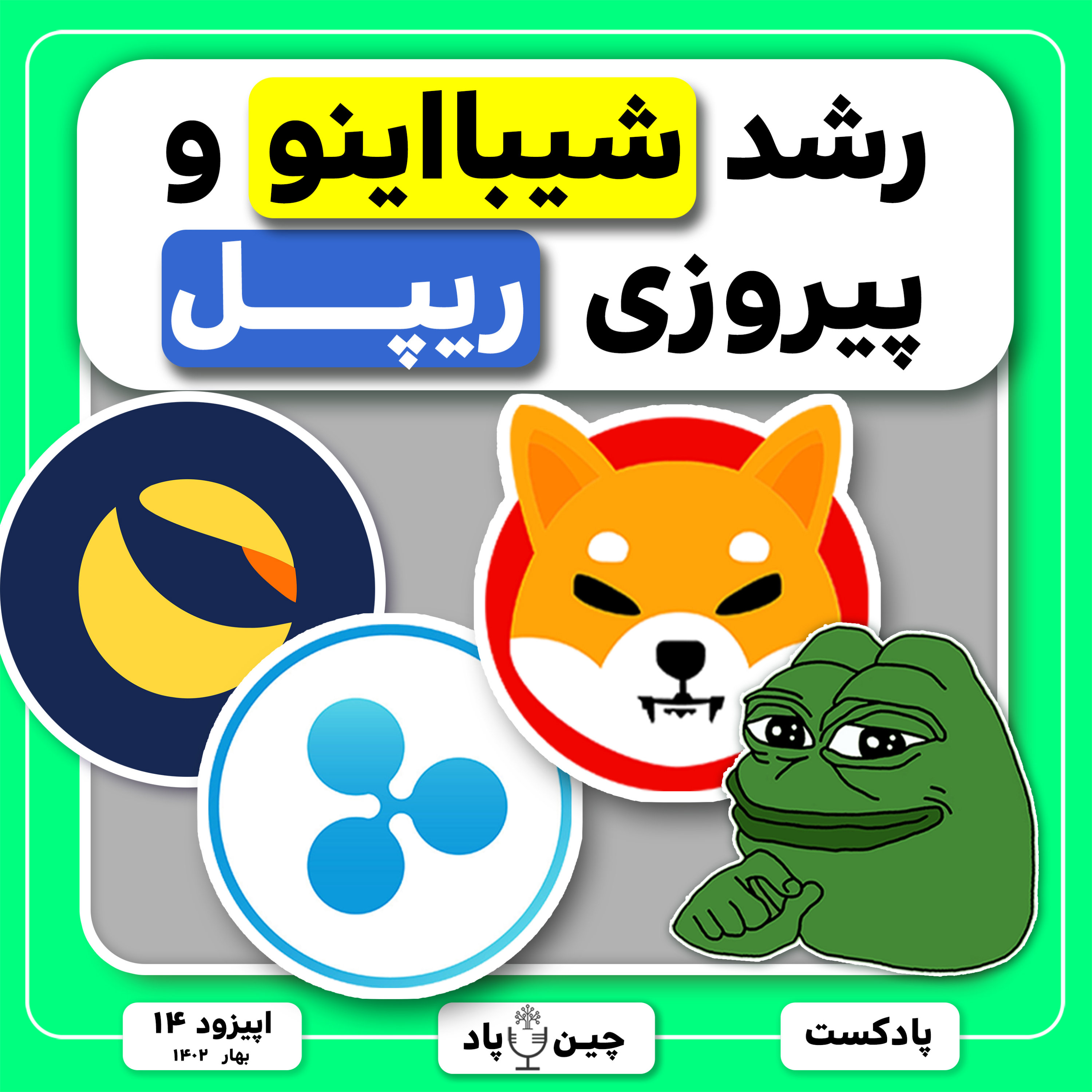 رشد شیبااینو و پیروزی ریپل episode artwork