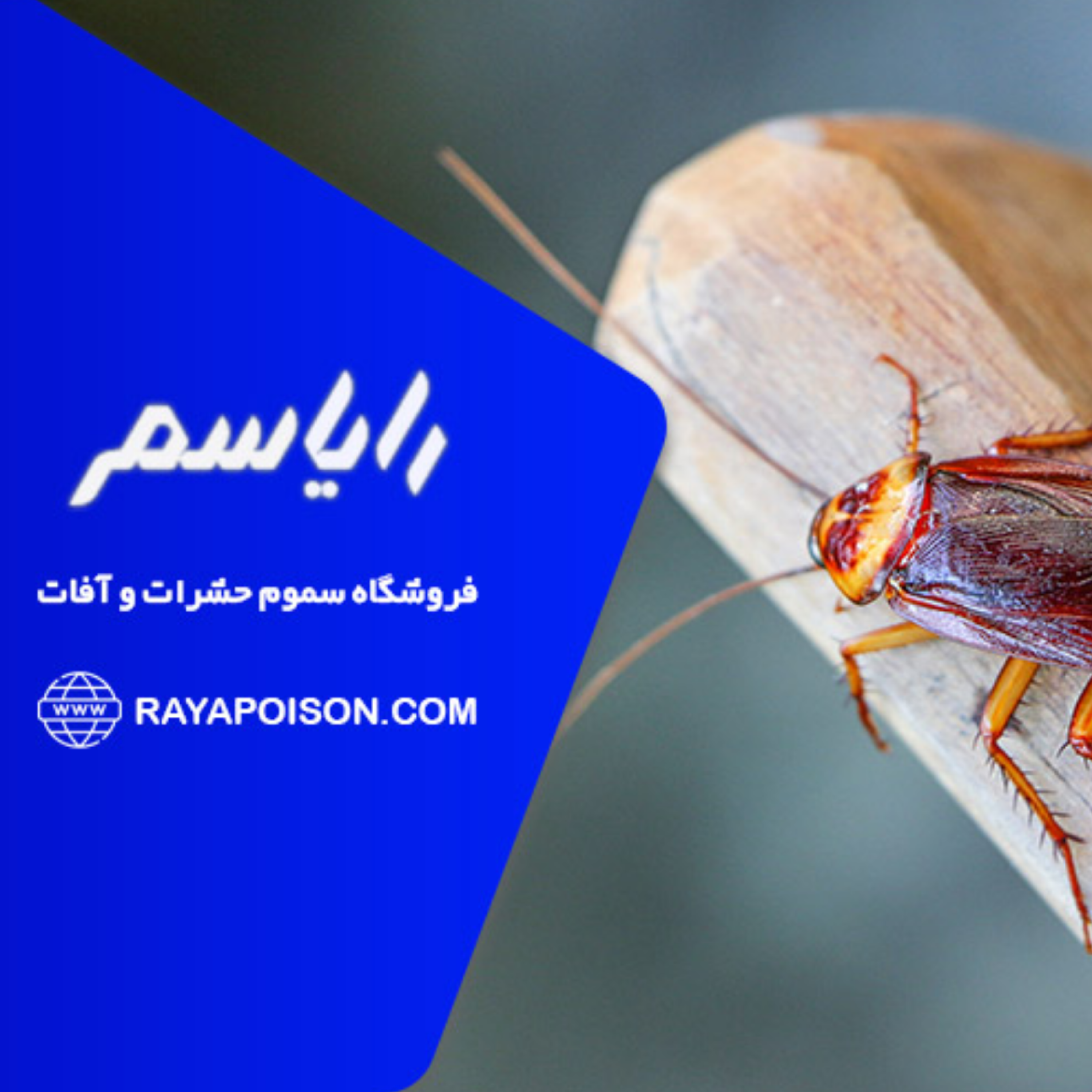 کاور پادکست سم سوسک