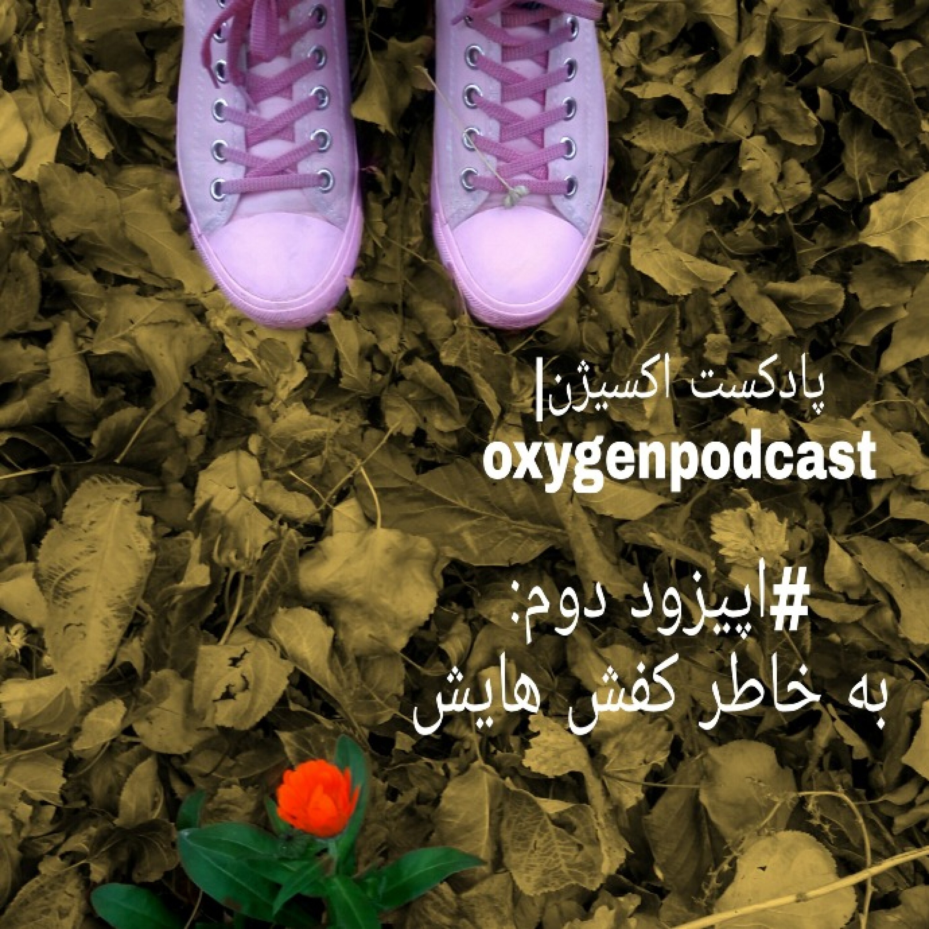 به خاطر کفش هایش
