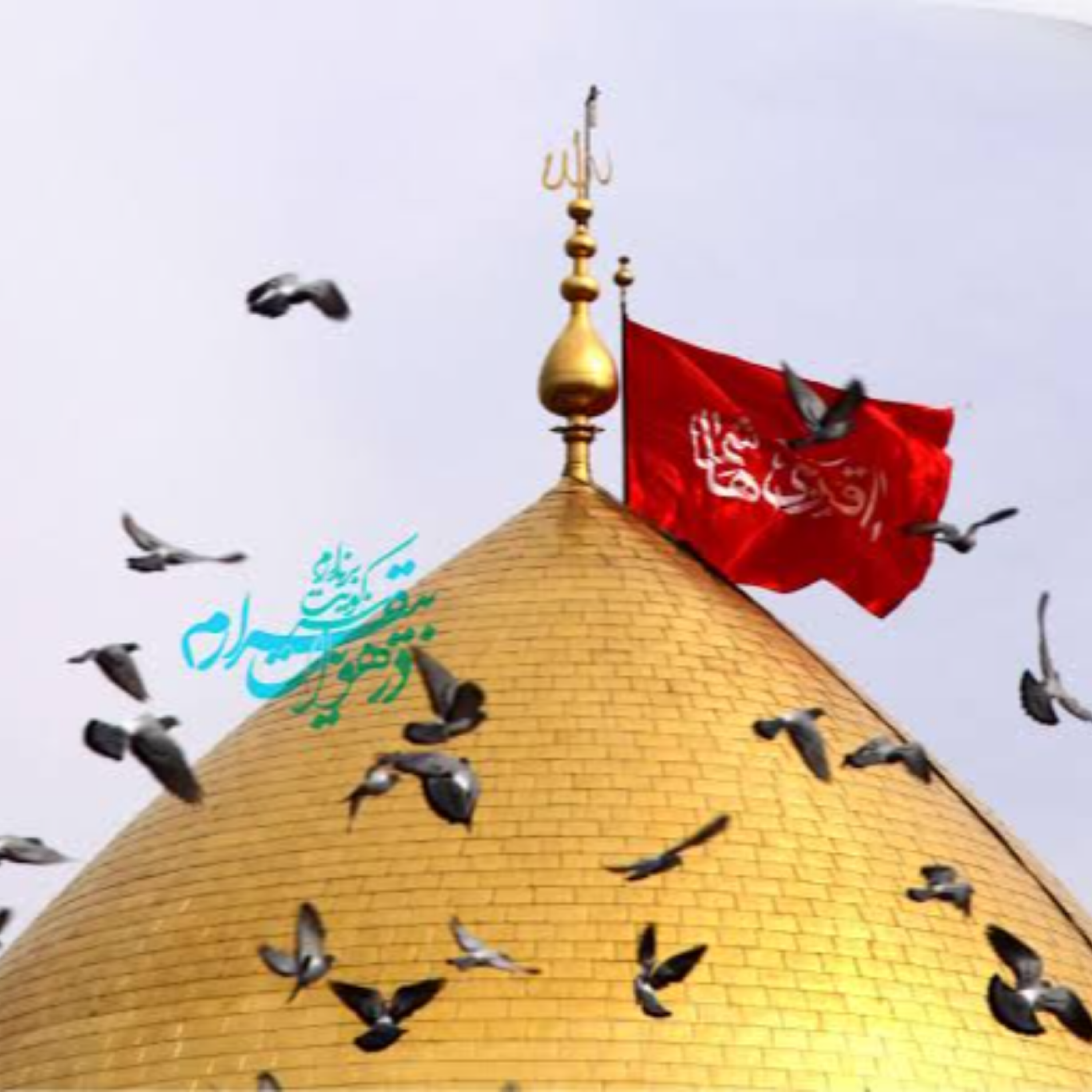 کاور [ 212 ] نظریه امر به معروف و نهی از منکر در «حماسه حسینی» {49}