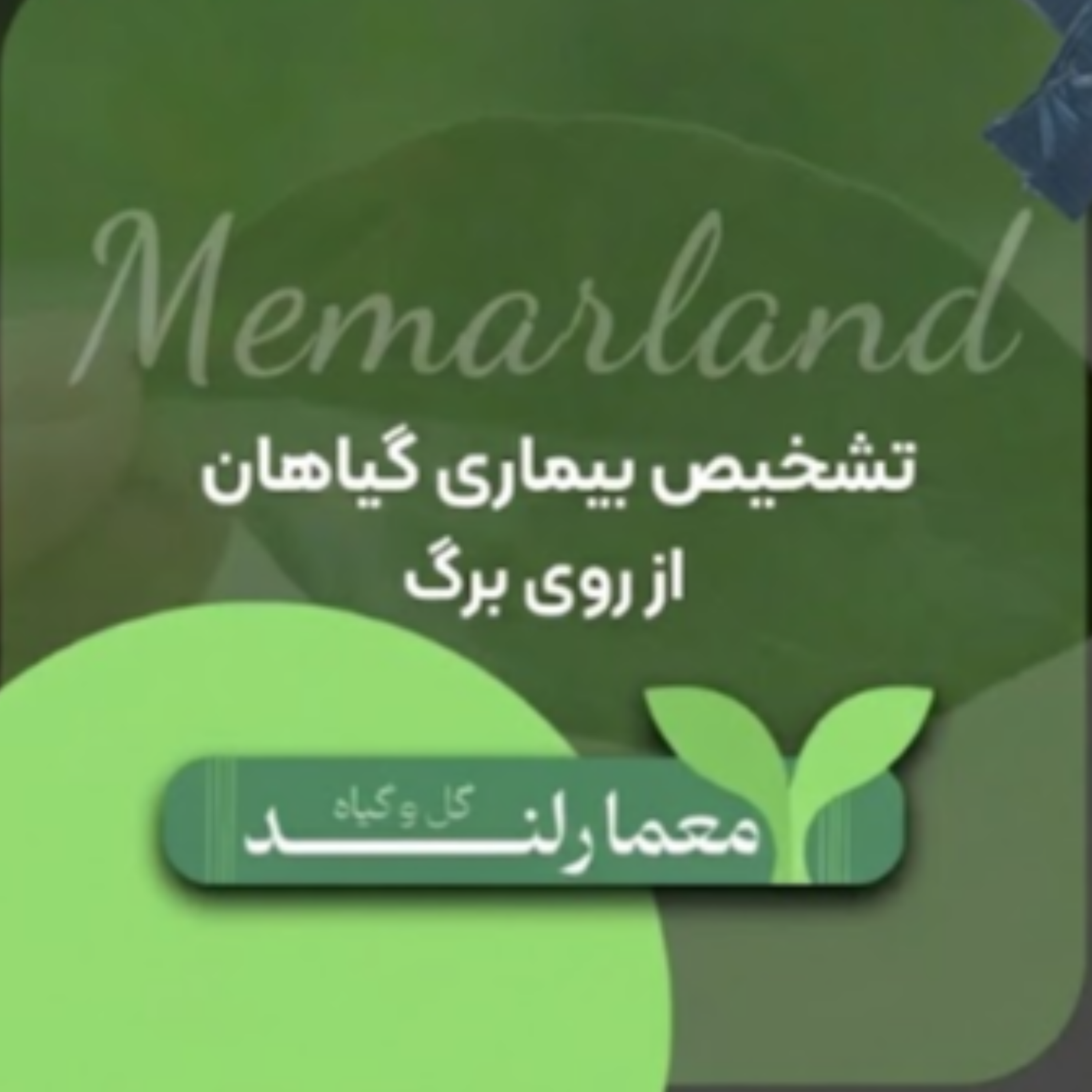 کاور راهنمای تشخیص بیماری گیاهان از روی برگ