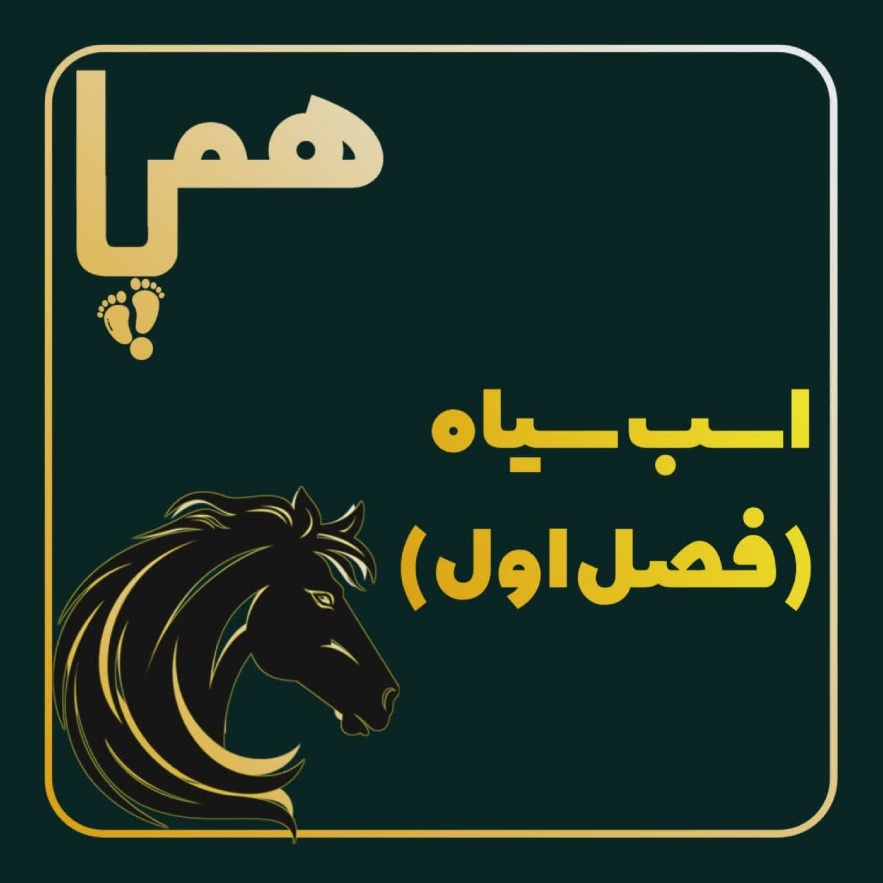 کاور فصل اول .اسب سیاه