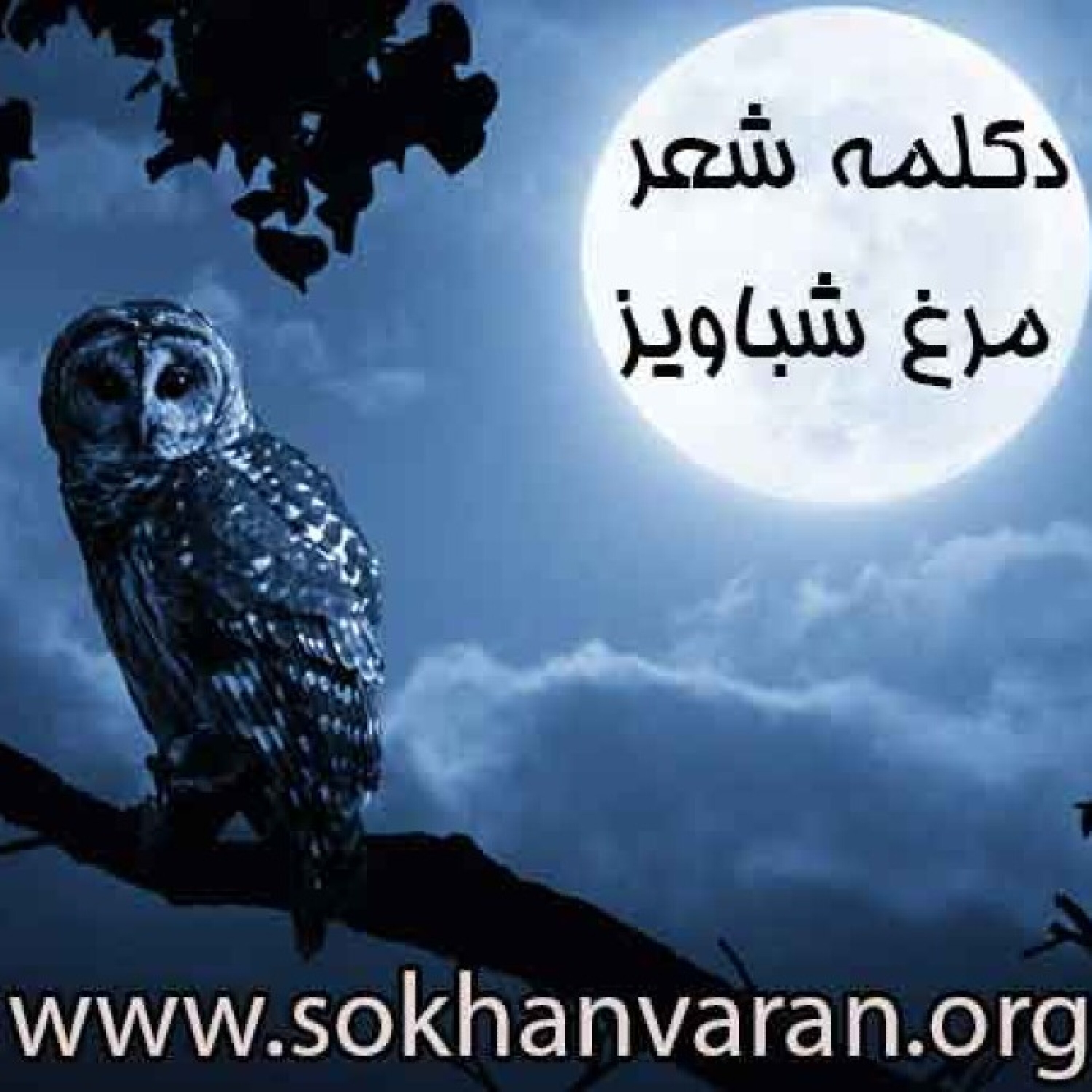 کاور دکلمه شعر مرغ شباویز | نیما یوشیج | استاد محمدعلی حسینیان
