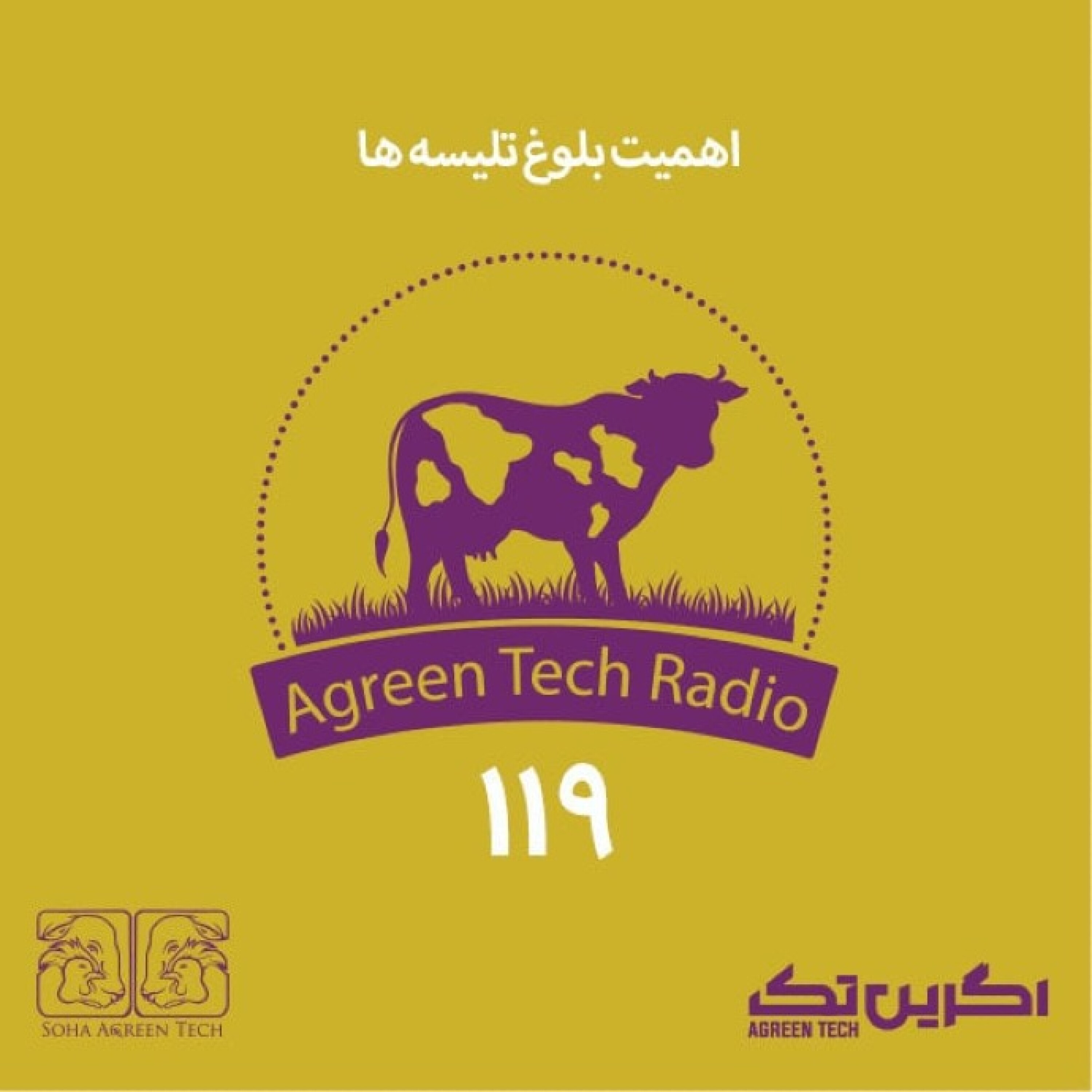 پادکست شماره 119: اهمیت بلوغ تلیسه ها
