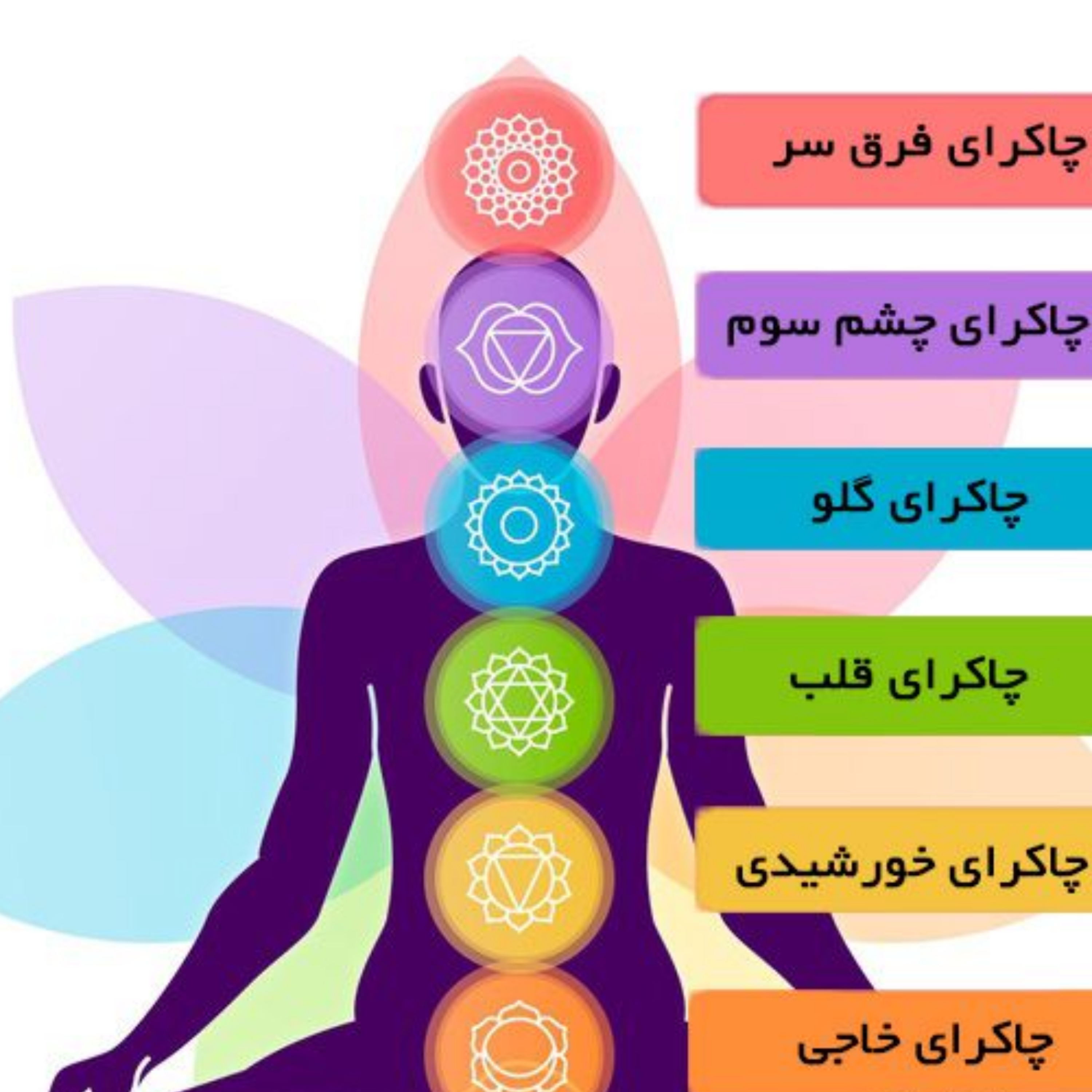 کاور پژواک هوشمند درون 2
