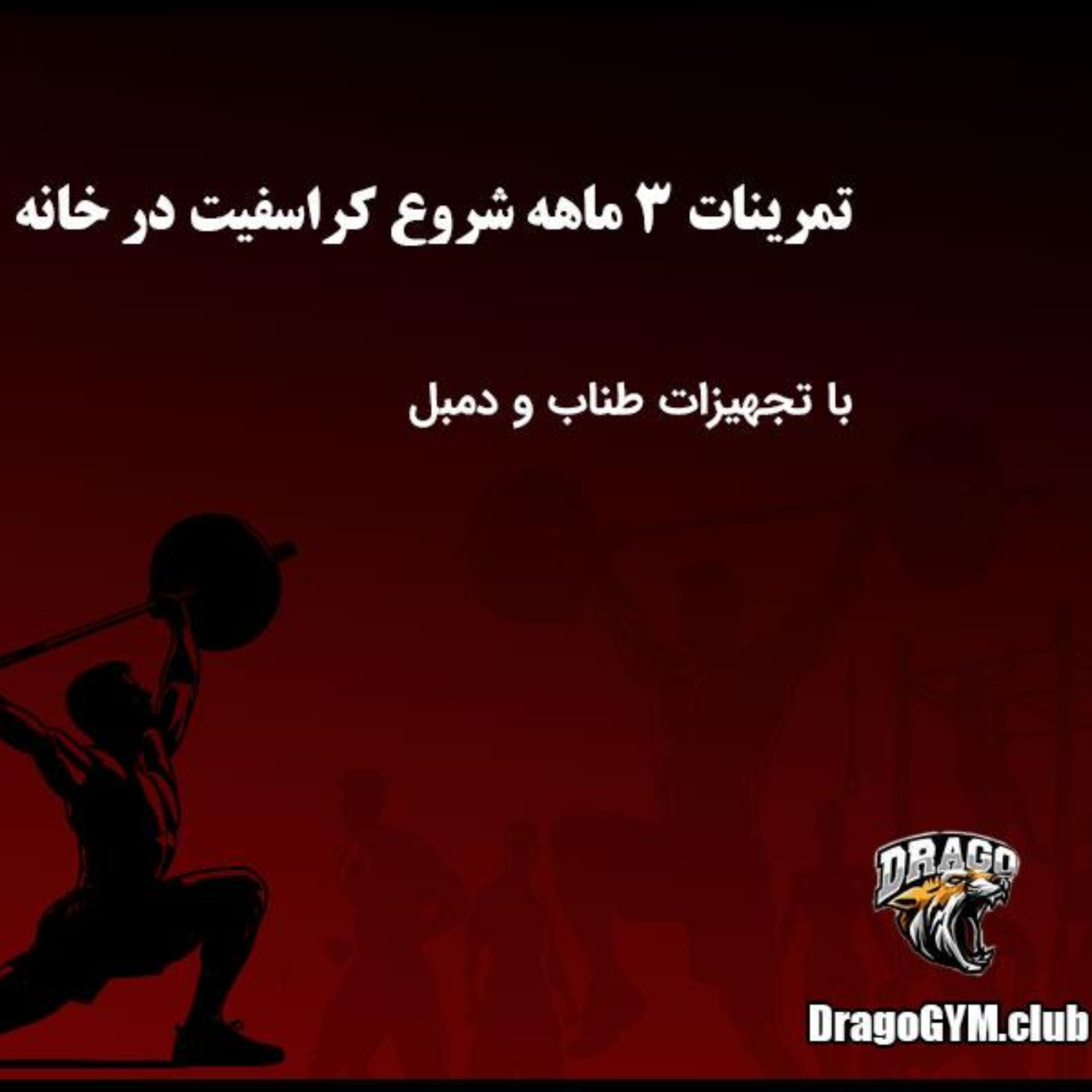 کاور برنامه تمرینی شروع کراسفیت در خانه با تجهیزات طناب و دمبل