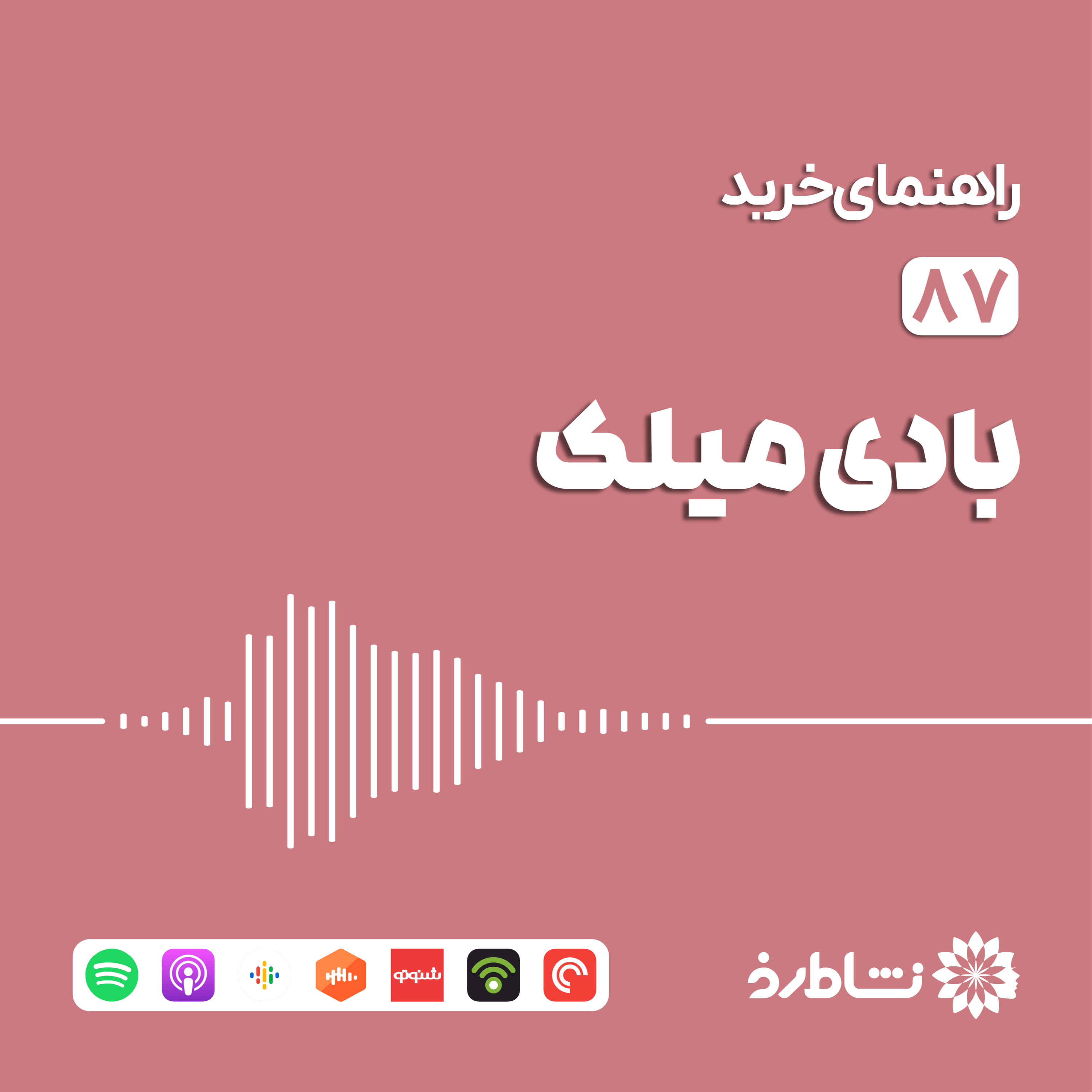 راهنمای خرید بادی میلک