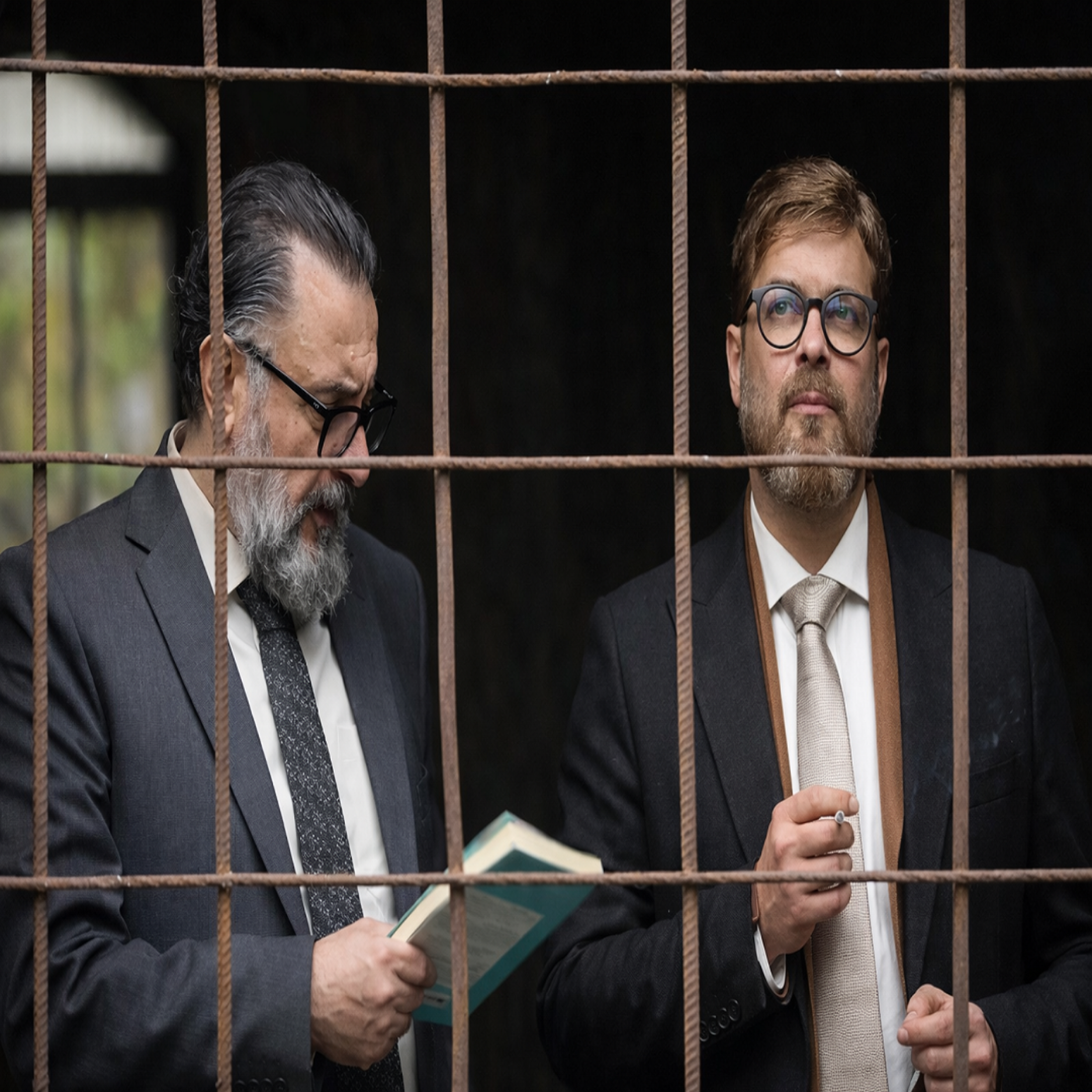 کاور غبار میمون