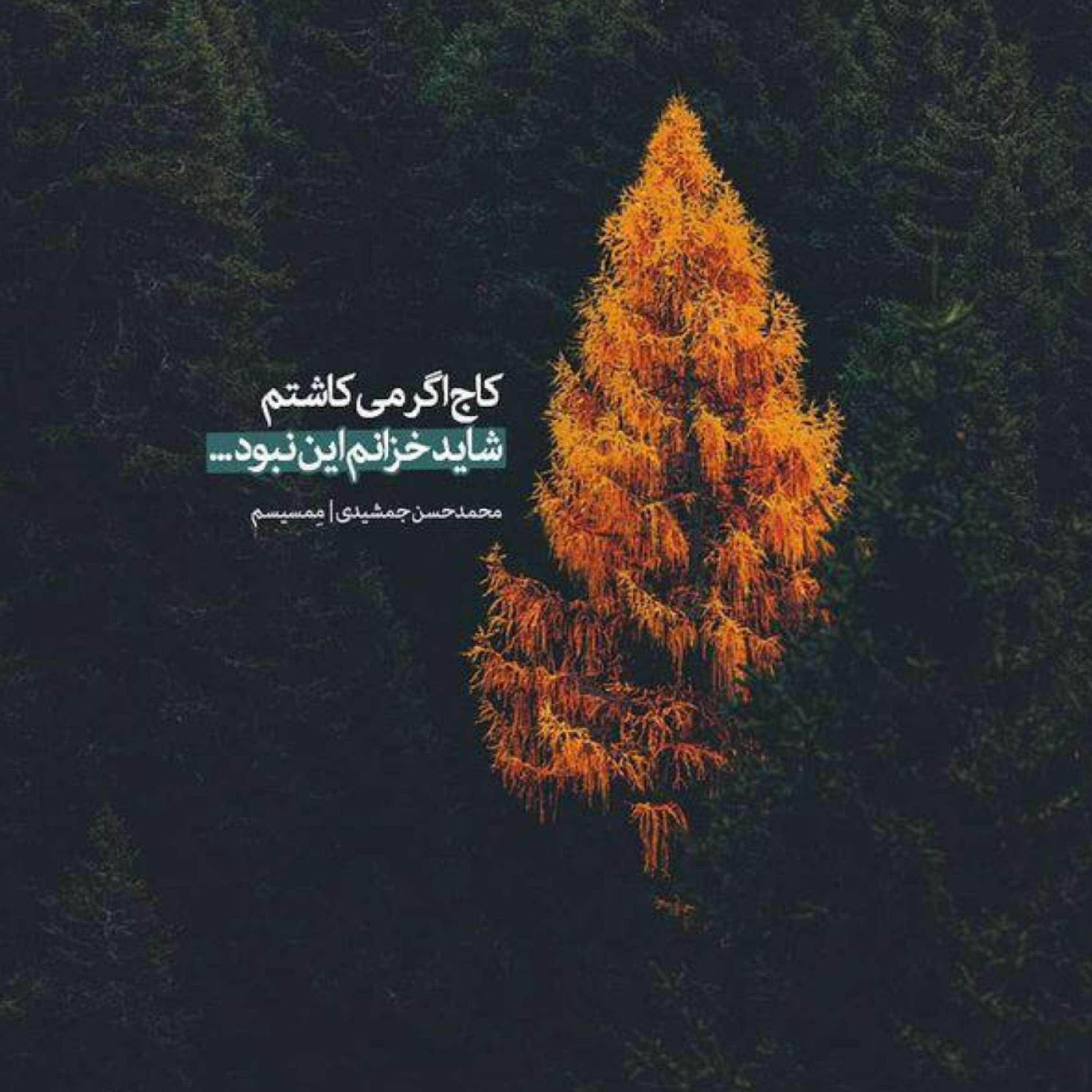 کاور تنها راه عاشق ماندن