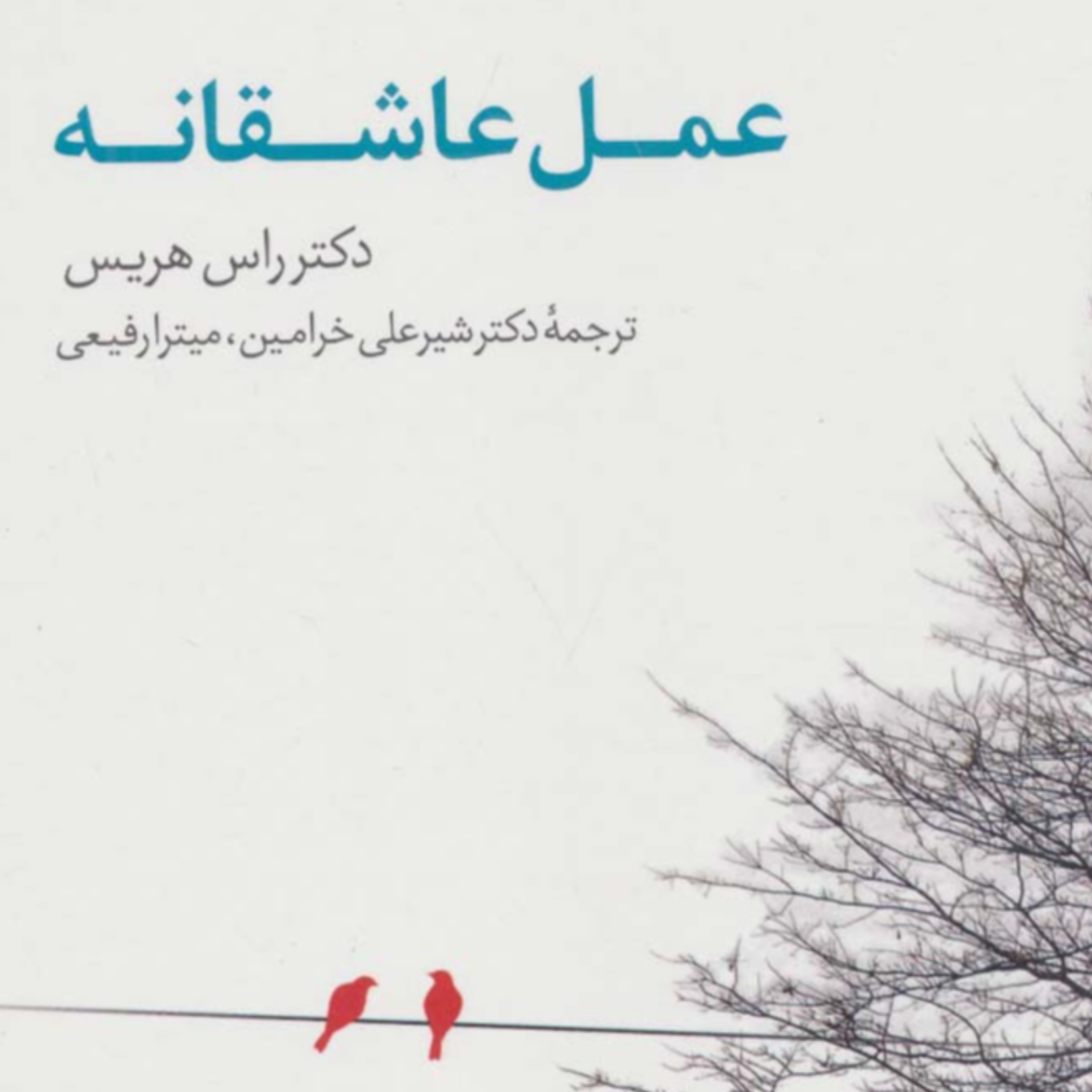 کاور اپیزود پنجم عمل عاشقانه
