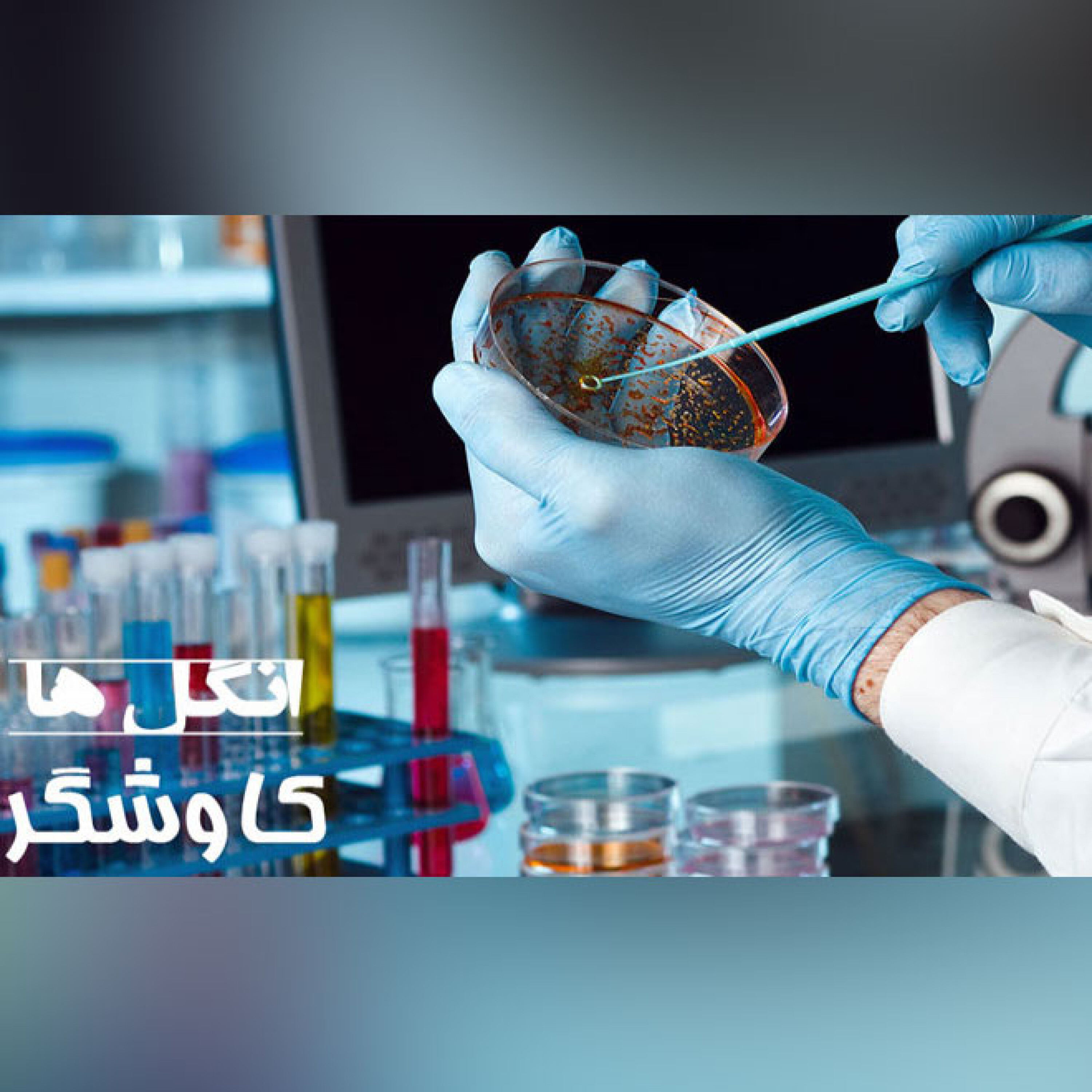 انگل ها