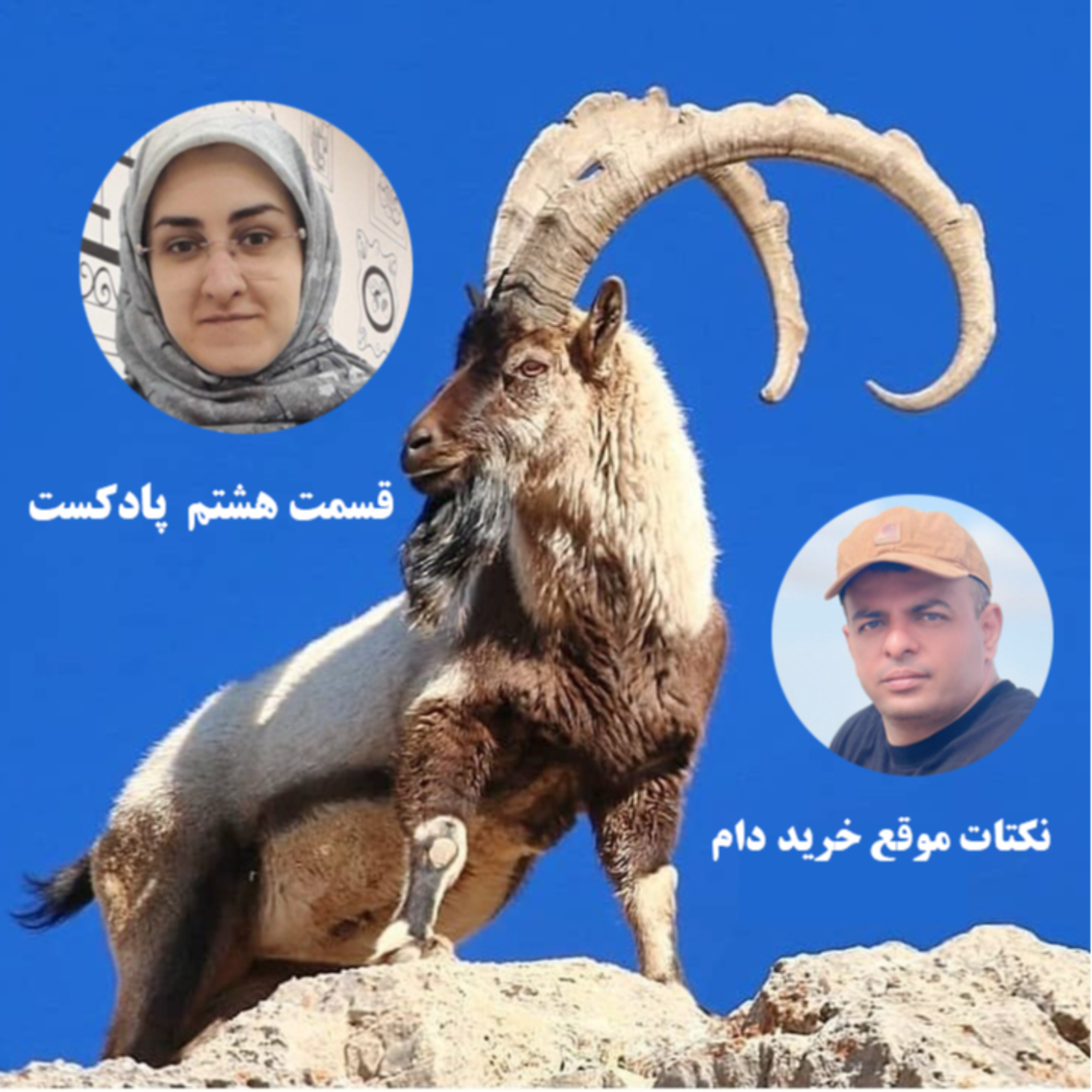 کاور قسمت هشتم: نکات کلیدی موقع خرید دام