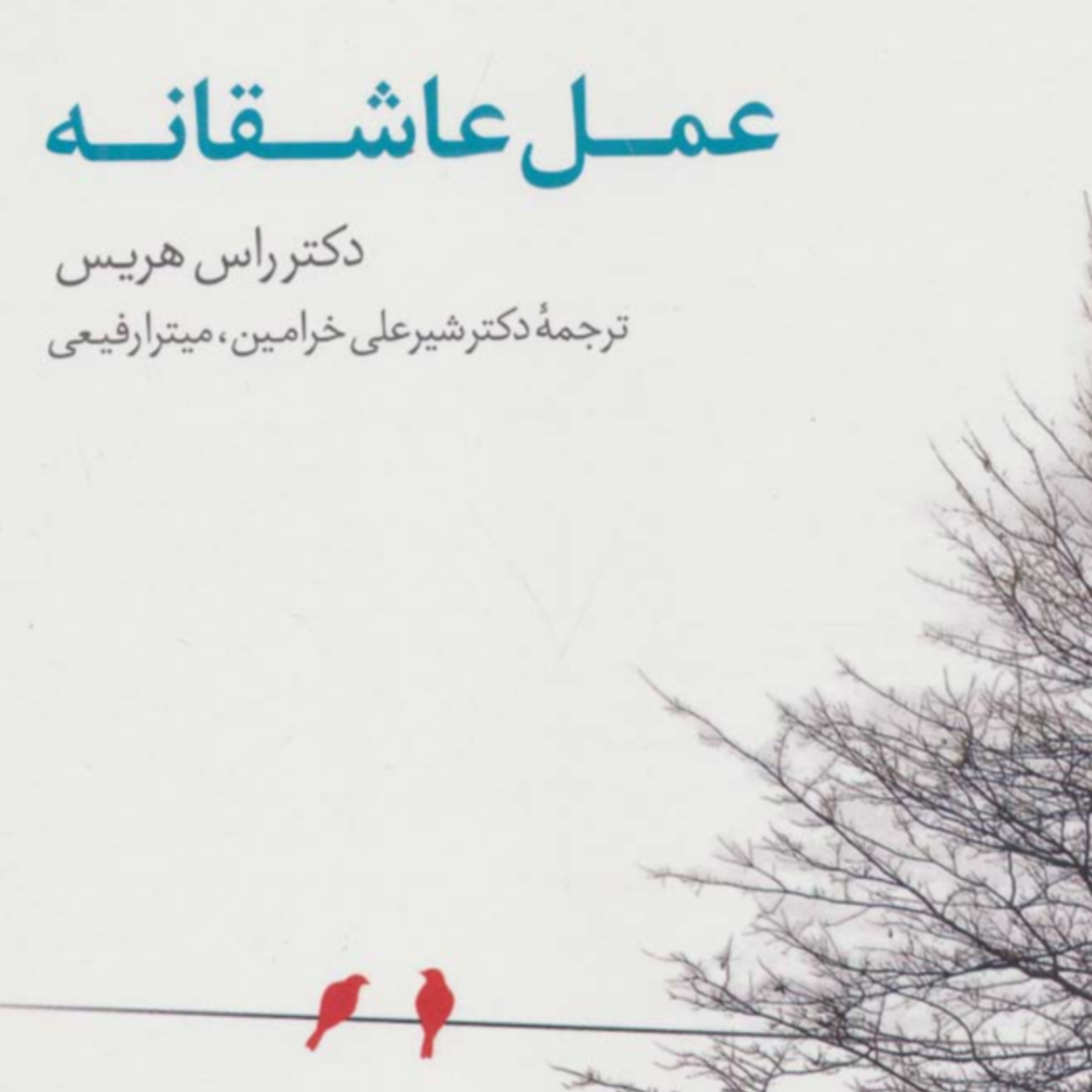 کاور اپیزود دوم عمل عاشقانه