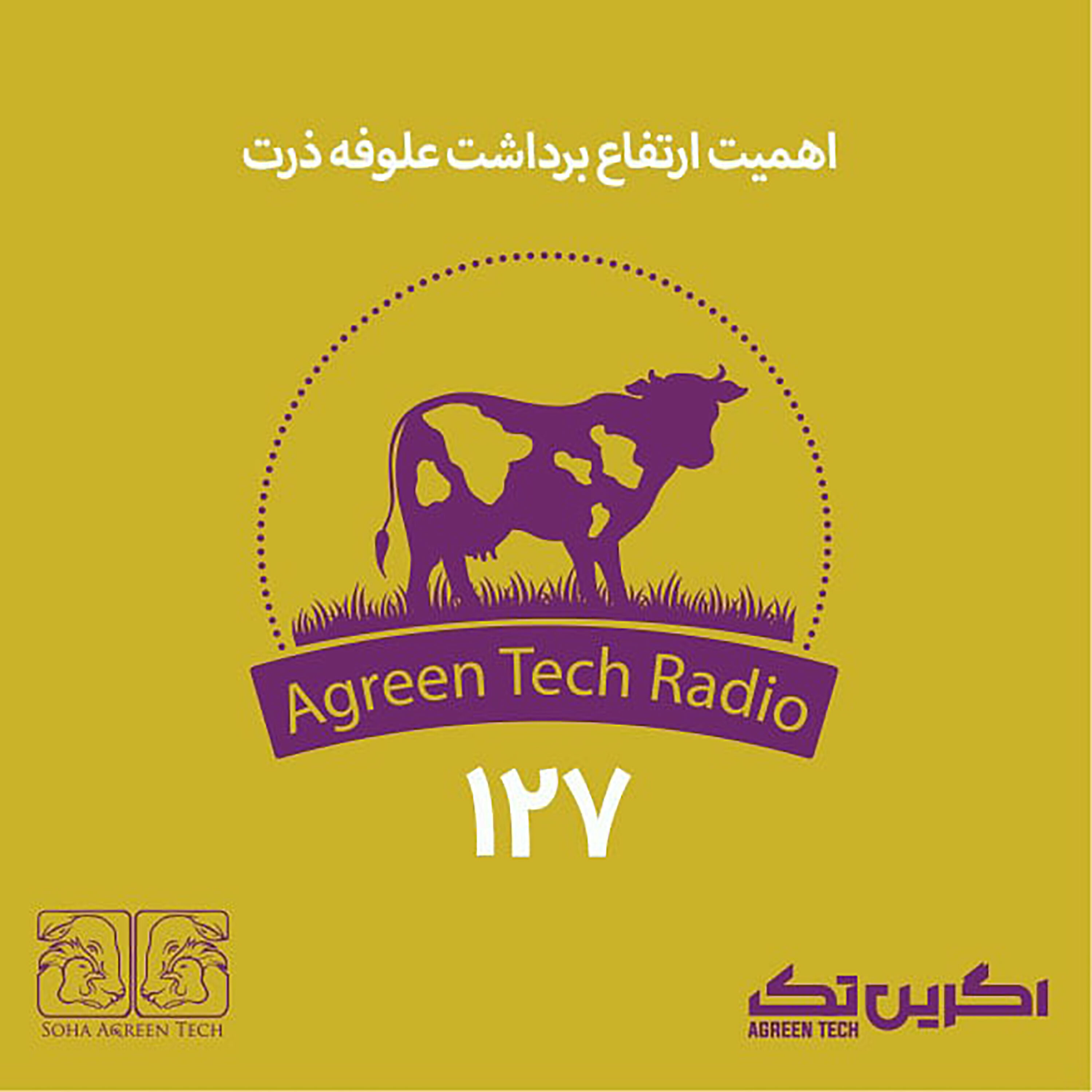 پادکست شماره 127: اهمیت ارتفاع برداشت علوفه ذرت