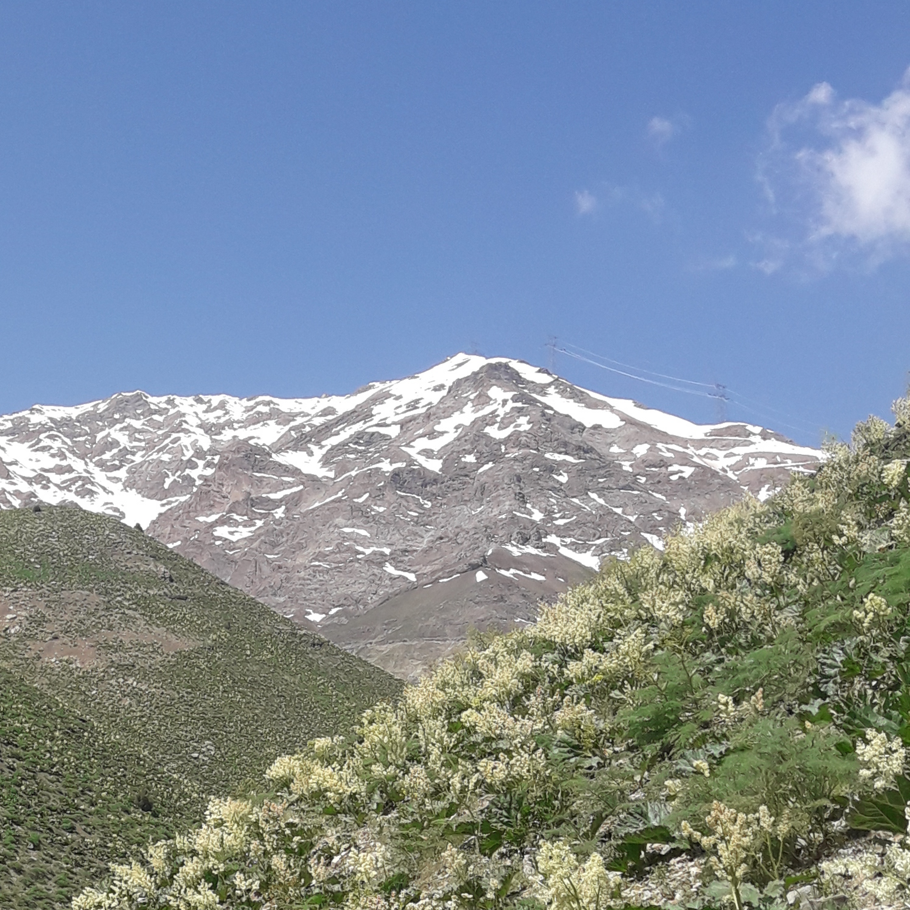 کاور اندیشه های من2