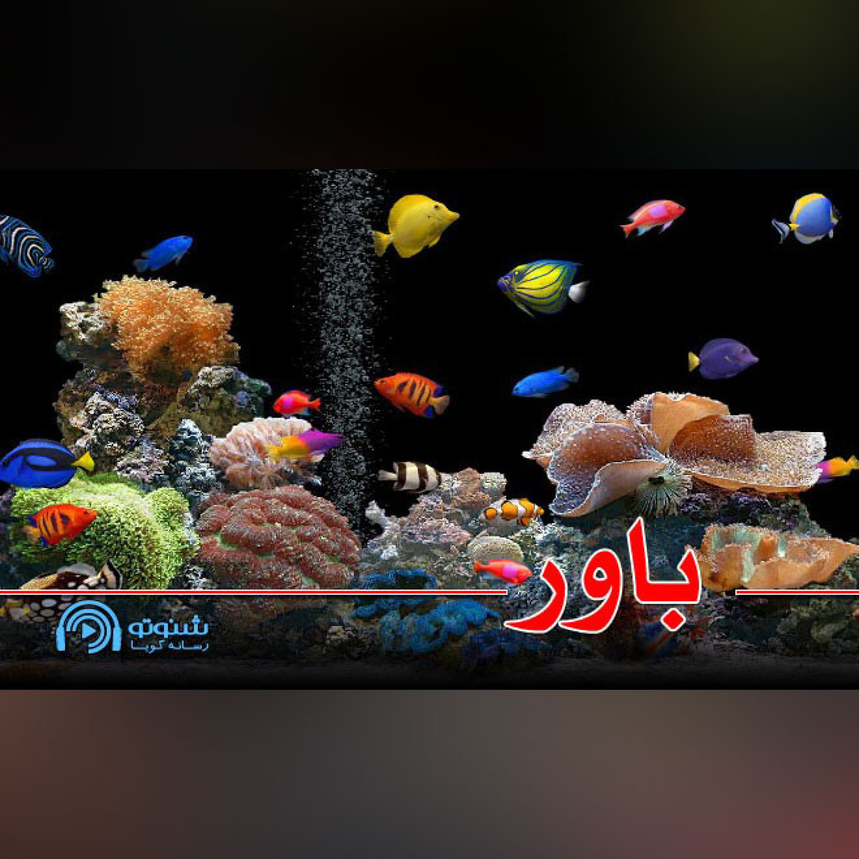 کاور باور