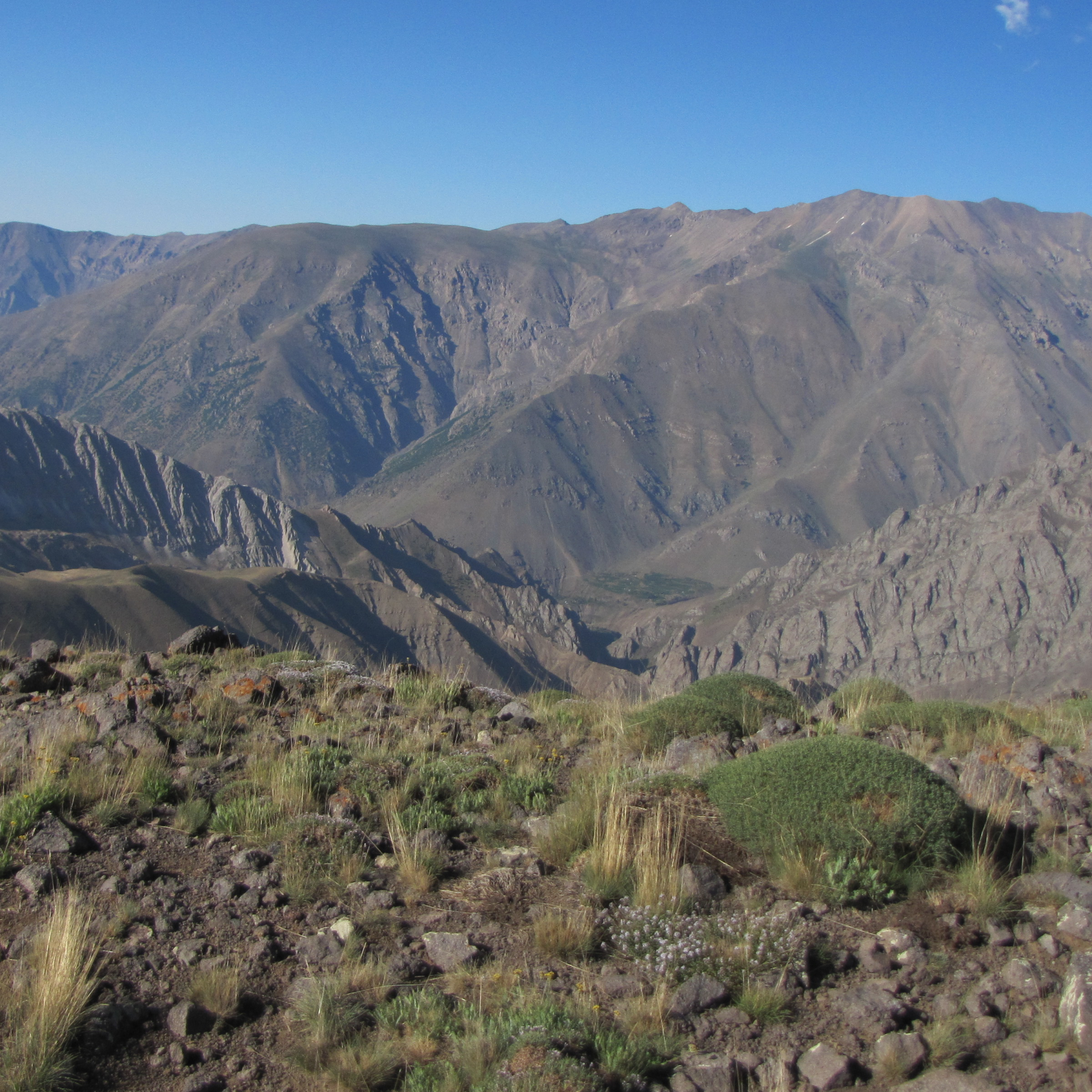 کاور کشتار در طبس4