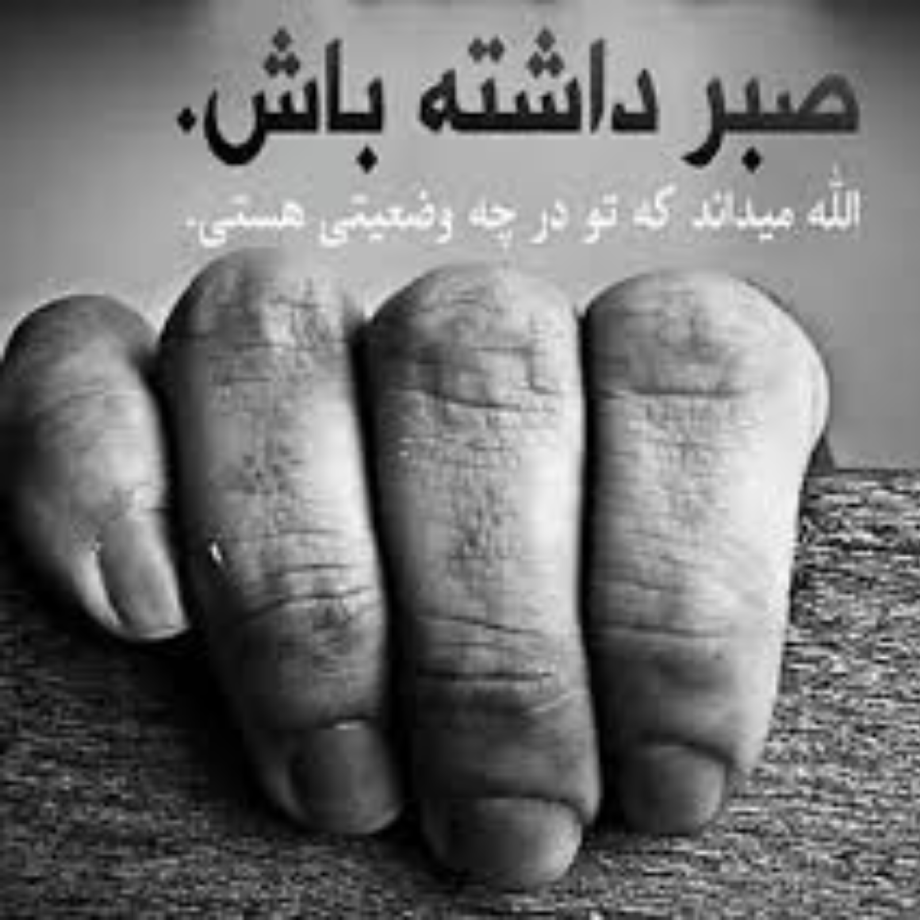 کاور صفحه 24 (بقره آیات 154ـ 163) تفسیر تربیتی و روانشناسی قرآن