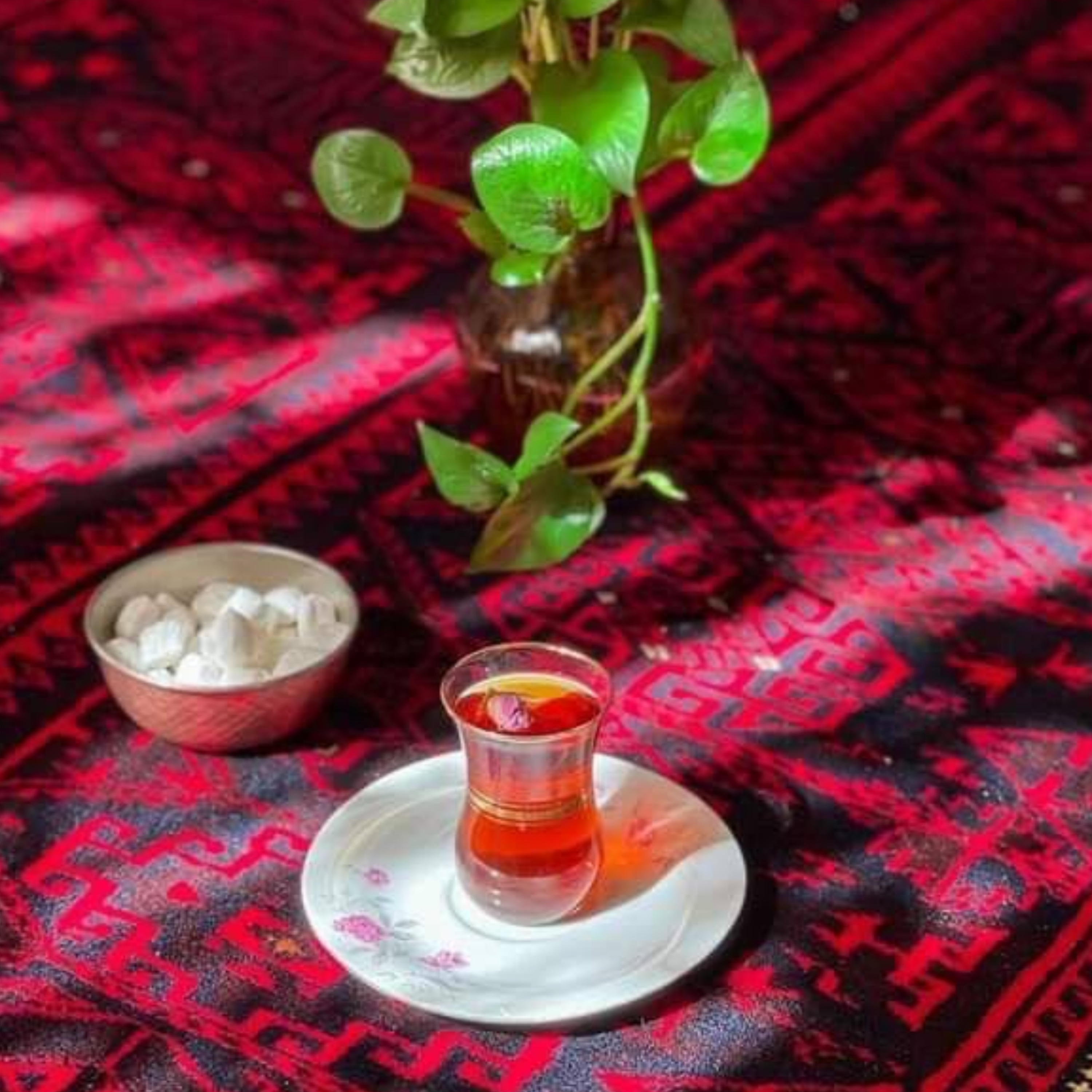 کاور شانه می‌خواهم