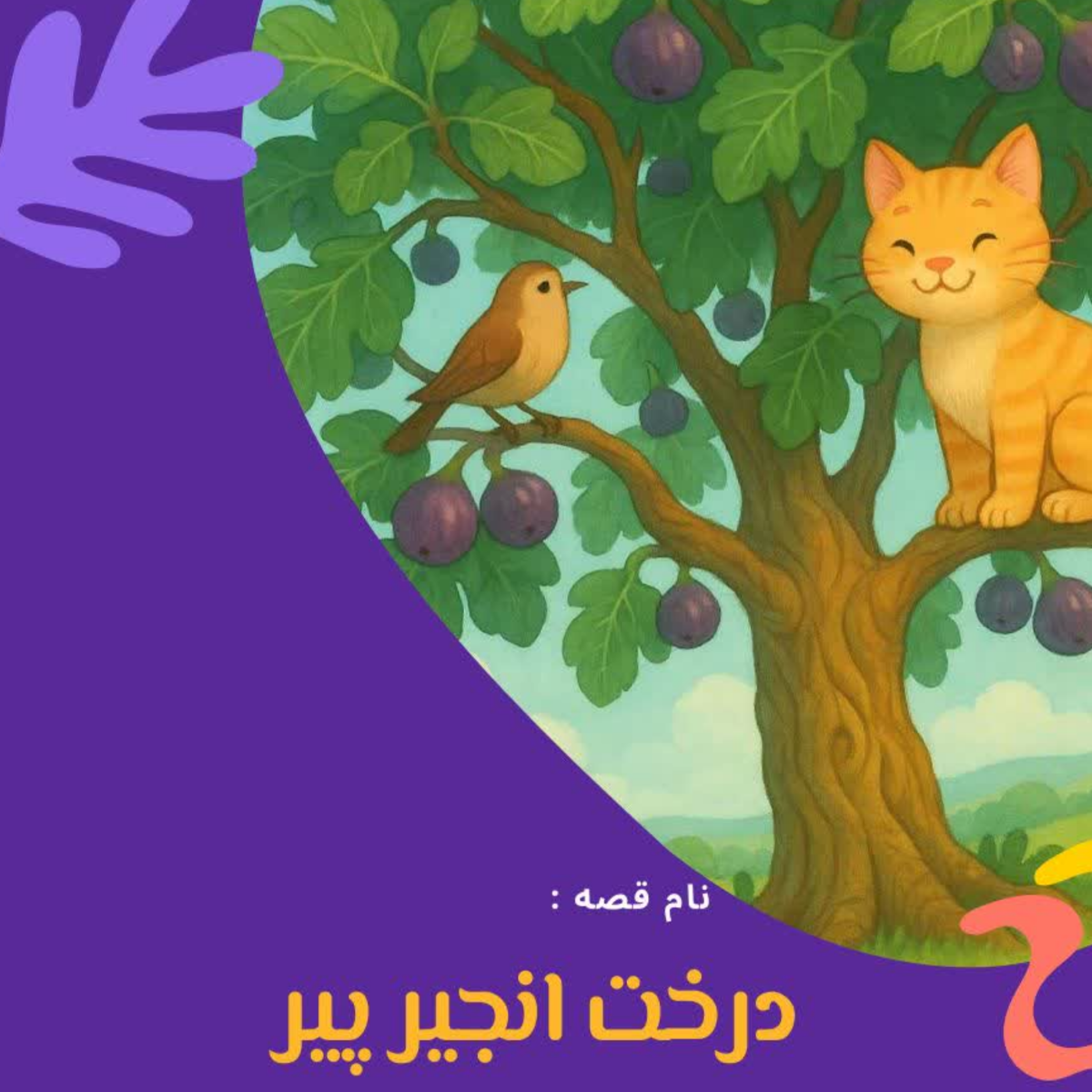 کاور درخت انجیر پیر