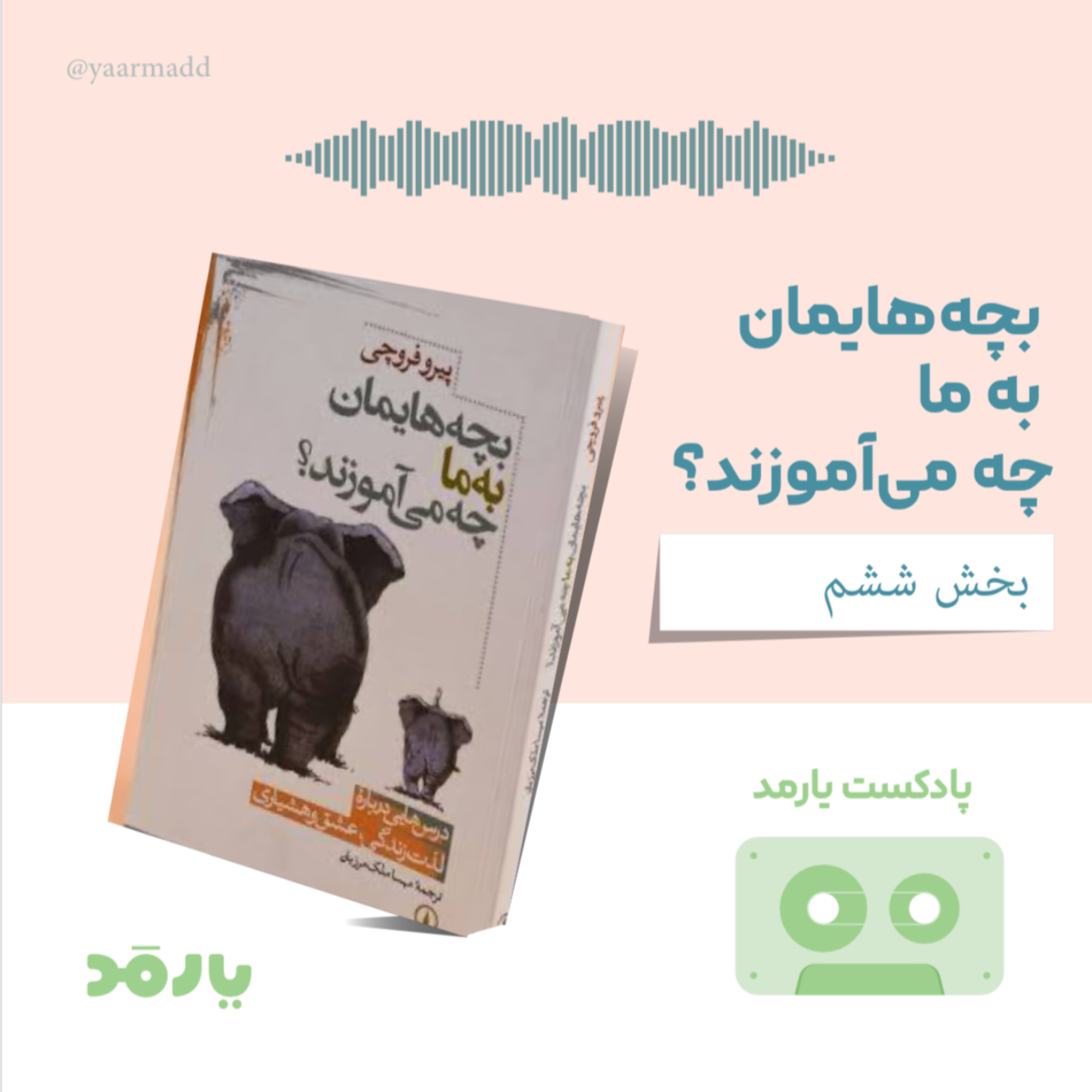 کاور ۶- واقعیت