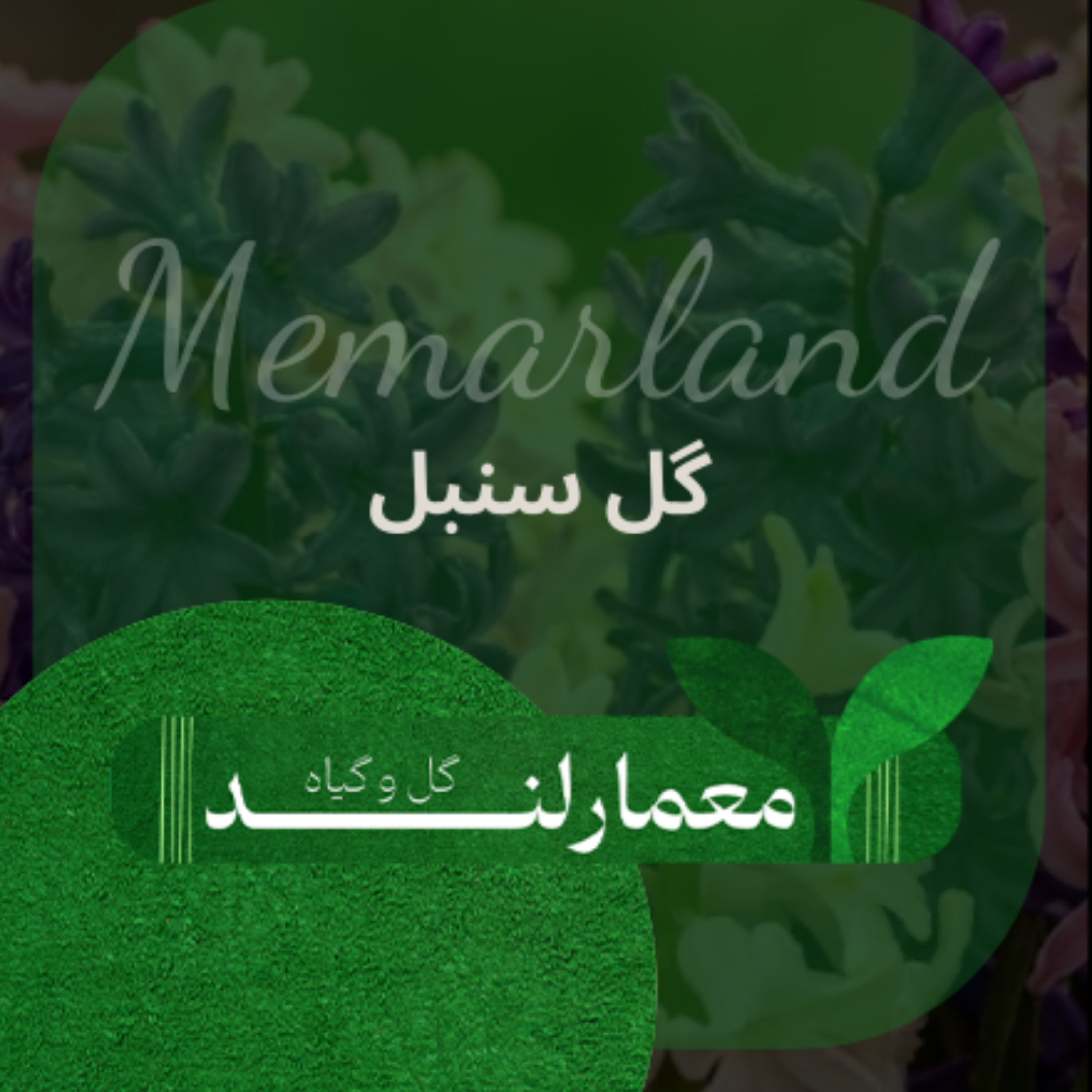 کاور گل سنبل
