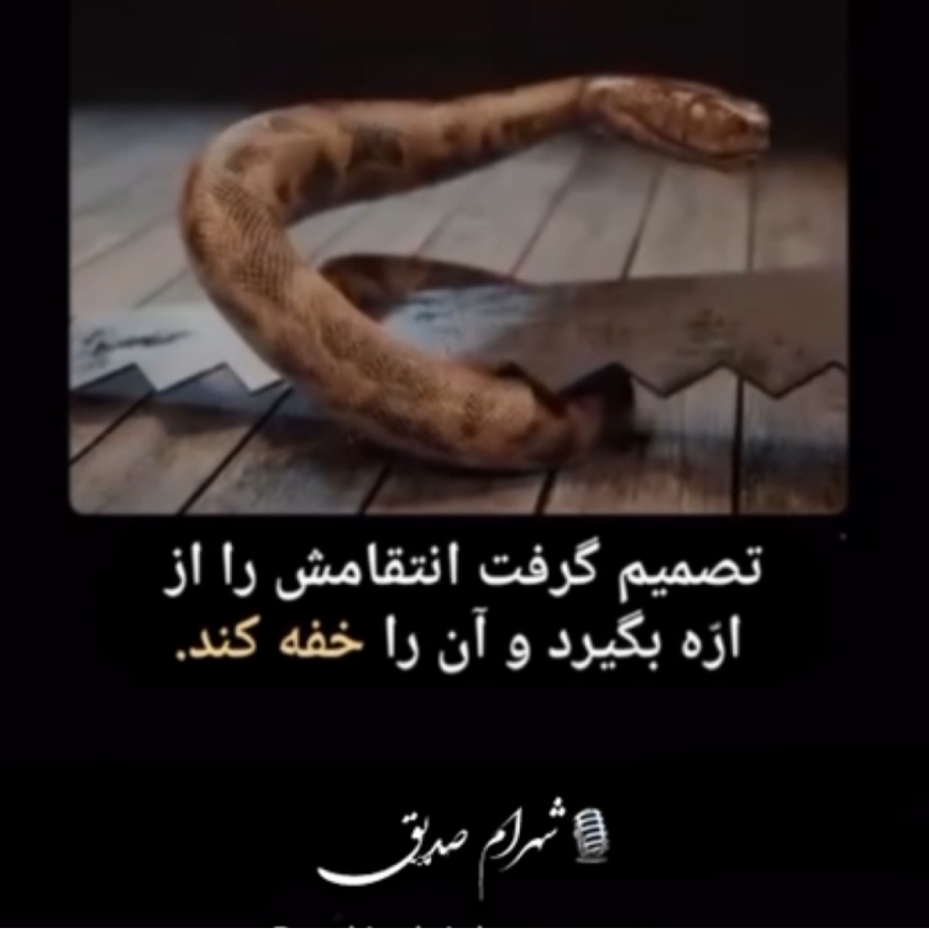 کاور داستان مار و اره!