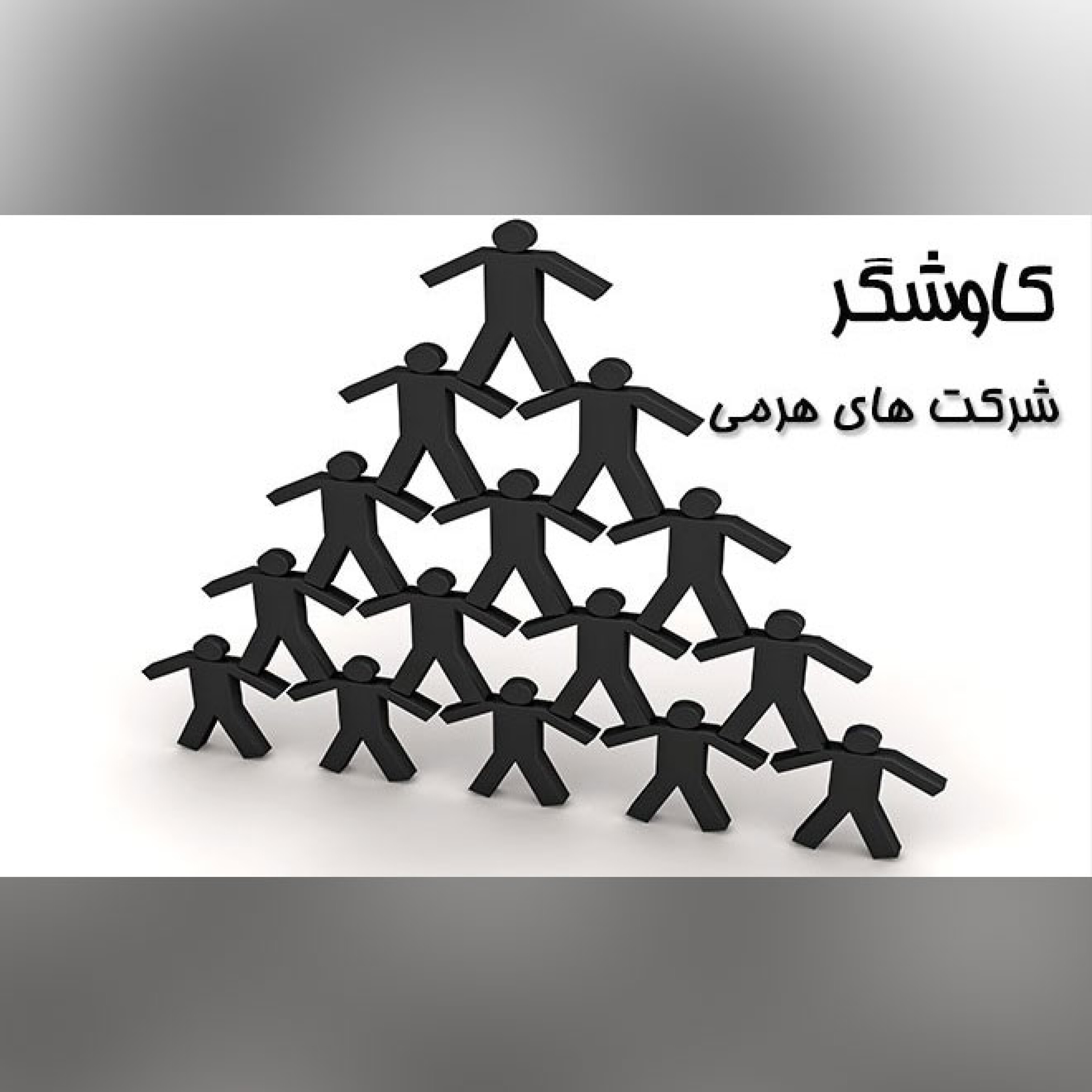 شرکت های هرمی