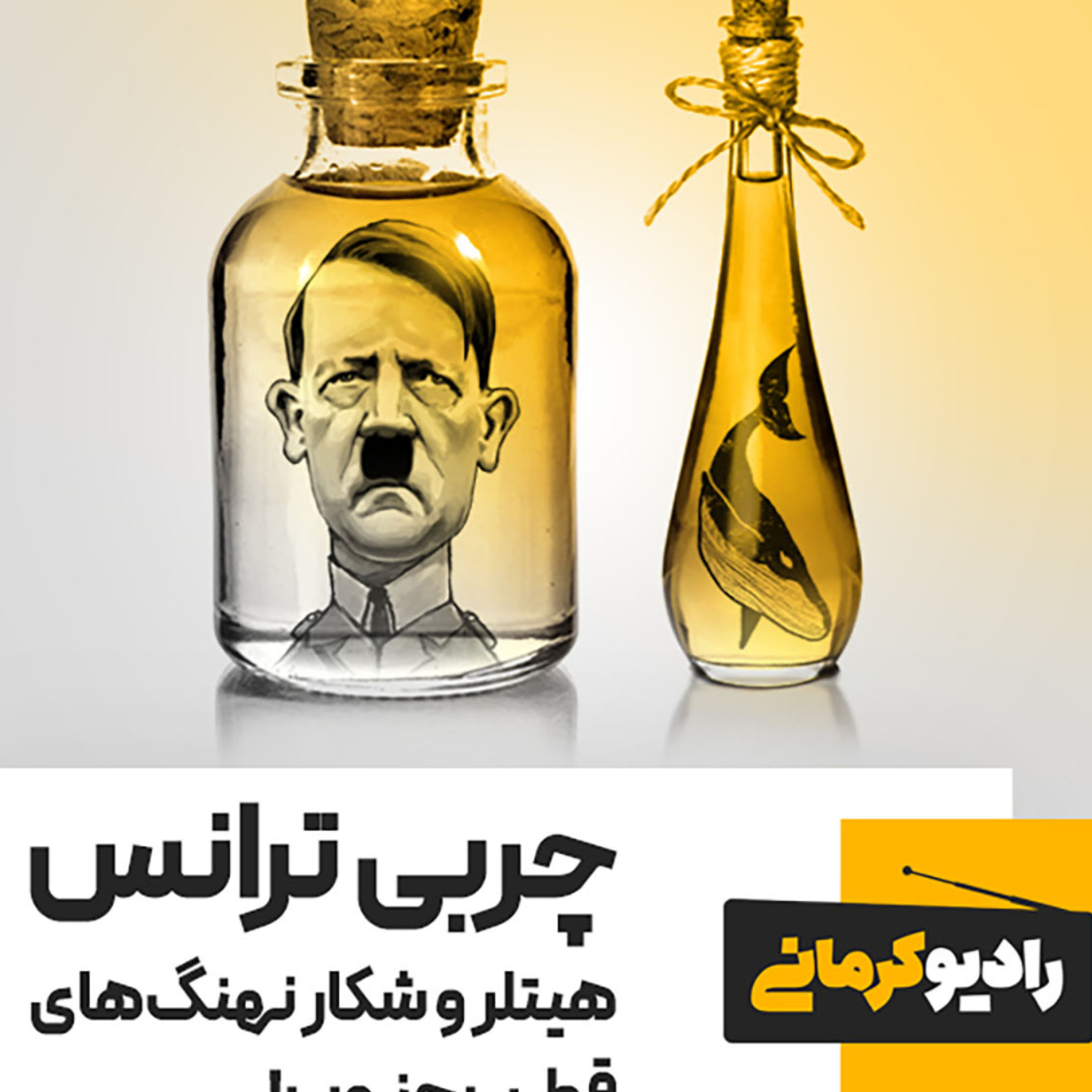کاور چربی ترانس، هیتلر و شکار نهنگهای قطب جنوب