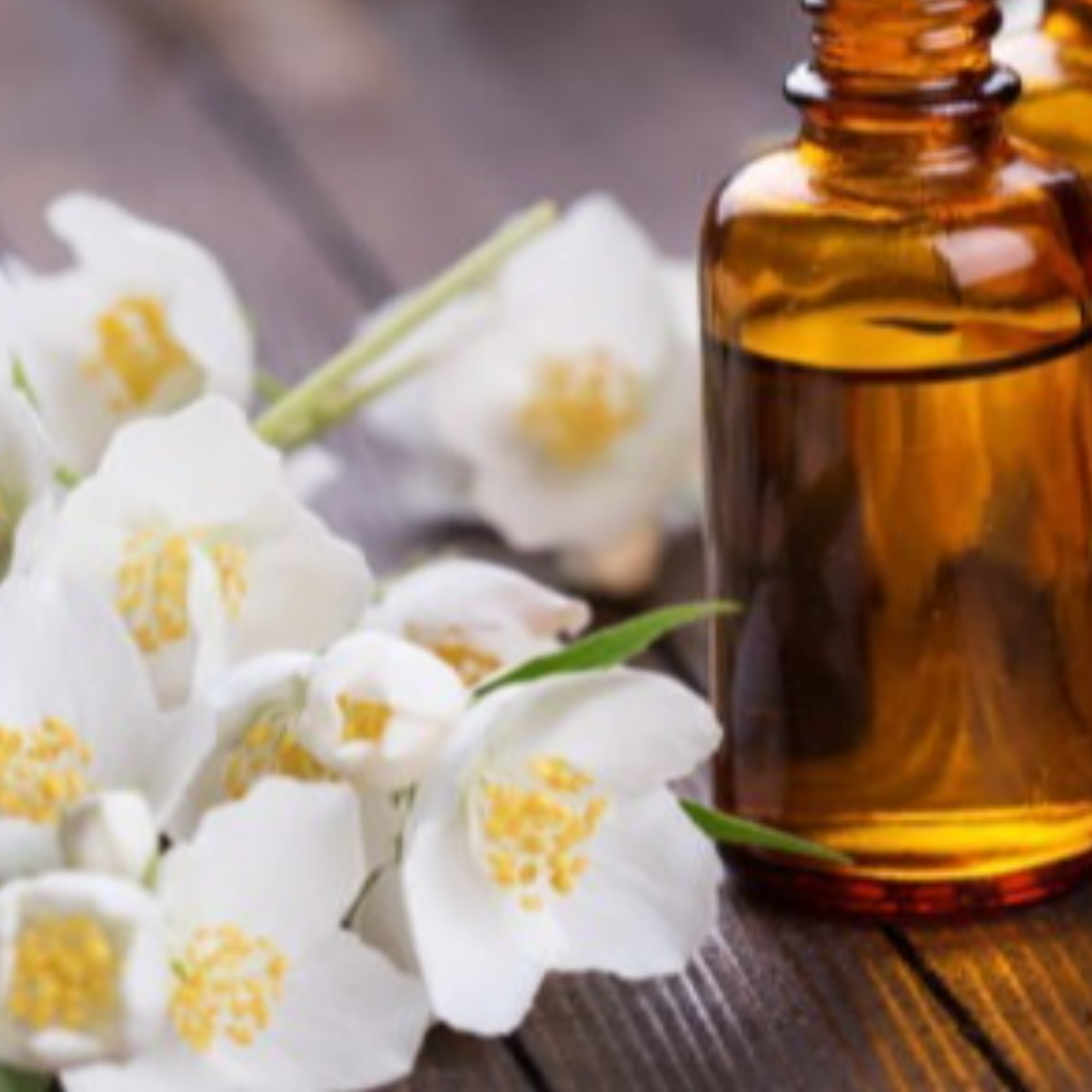 کاور روغن گل یاس